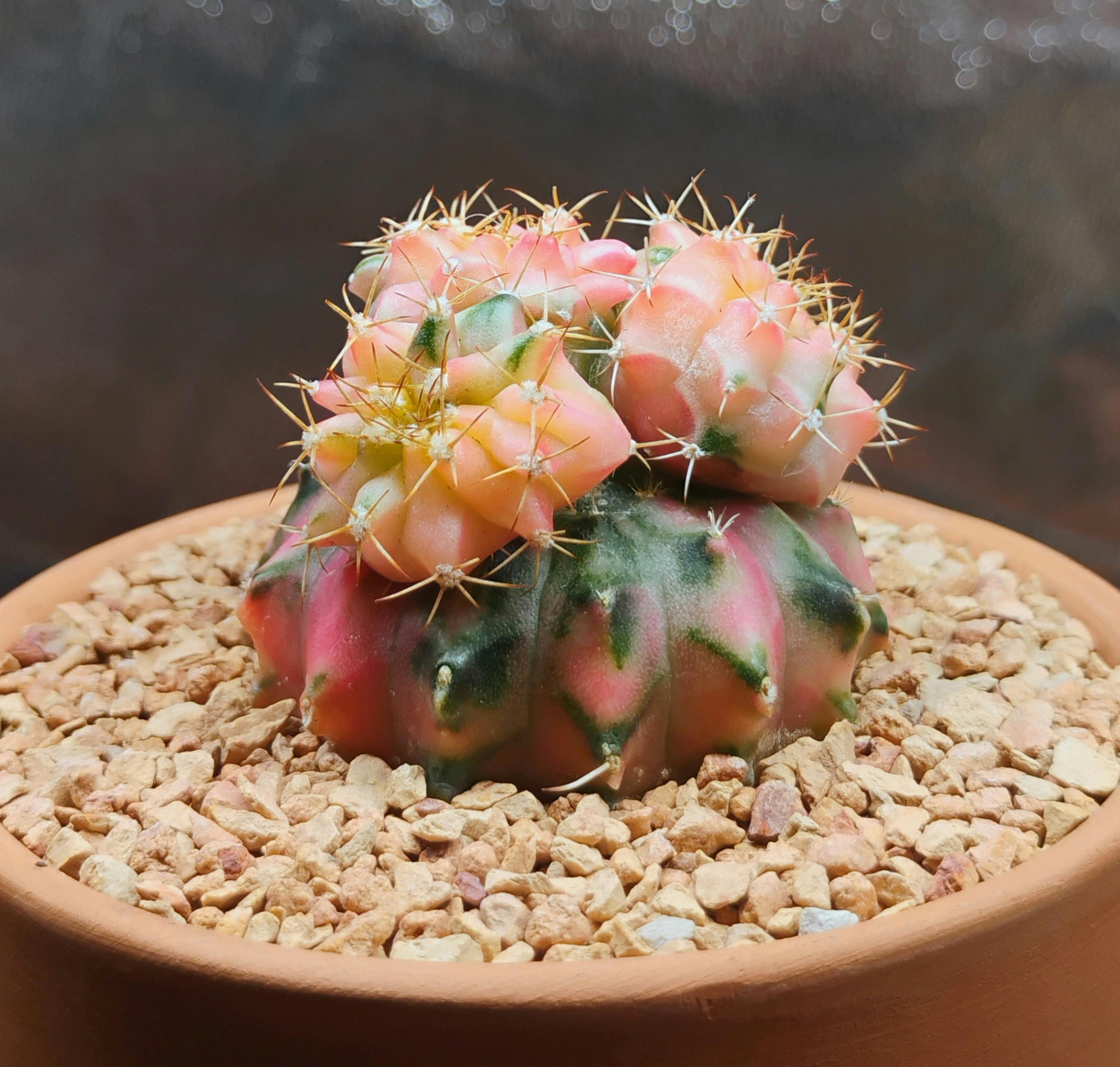 user avatar image for Kenny 