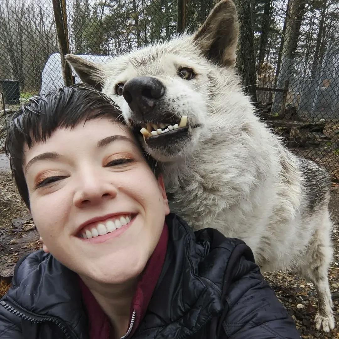 user avatar image for CMor