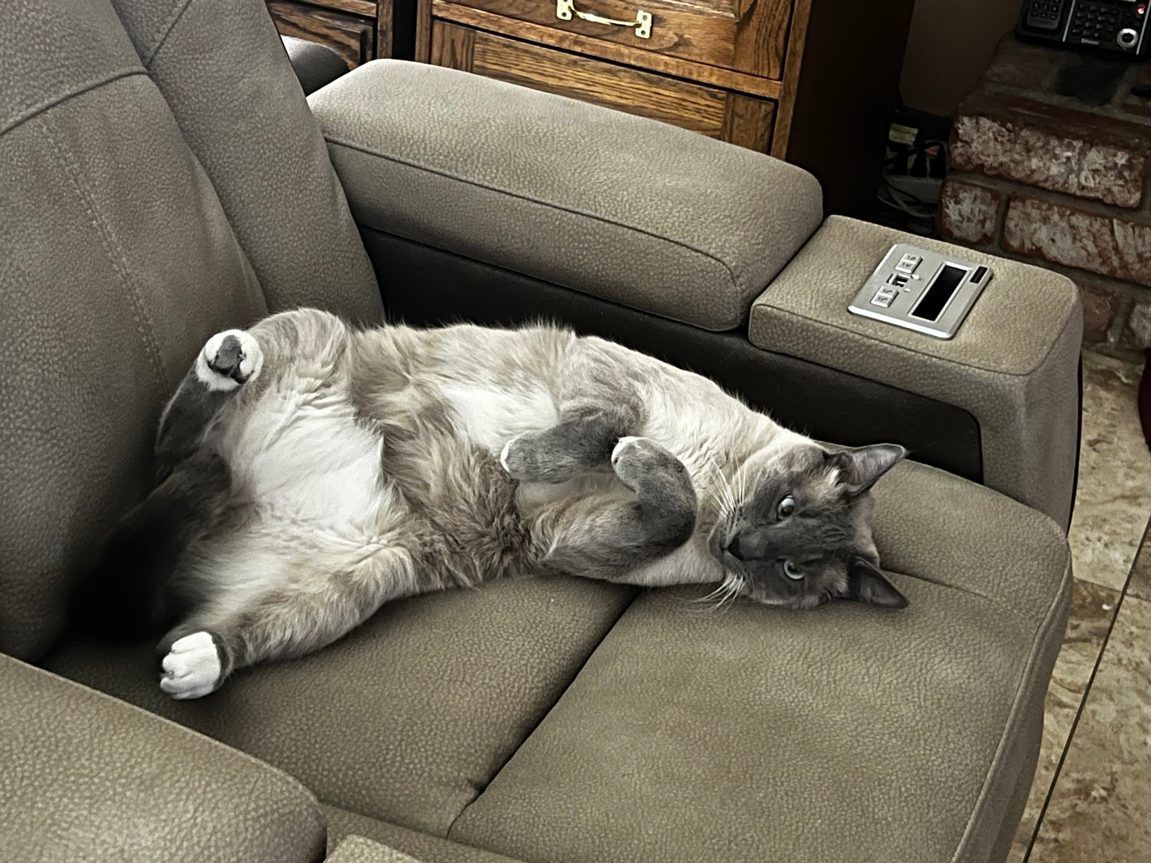 user avatar image for JackAttack