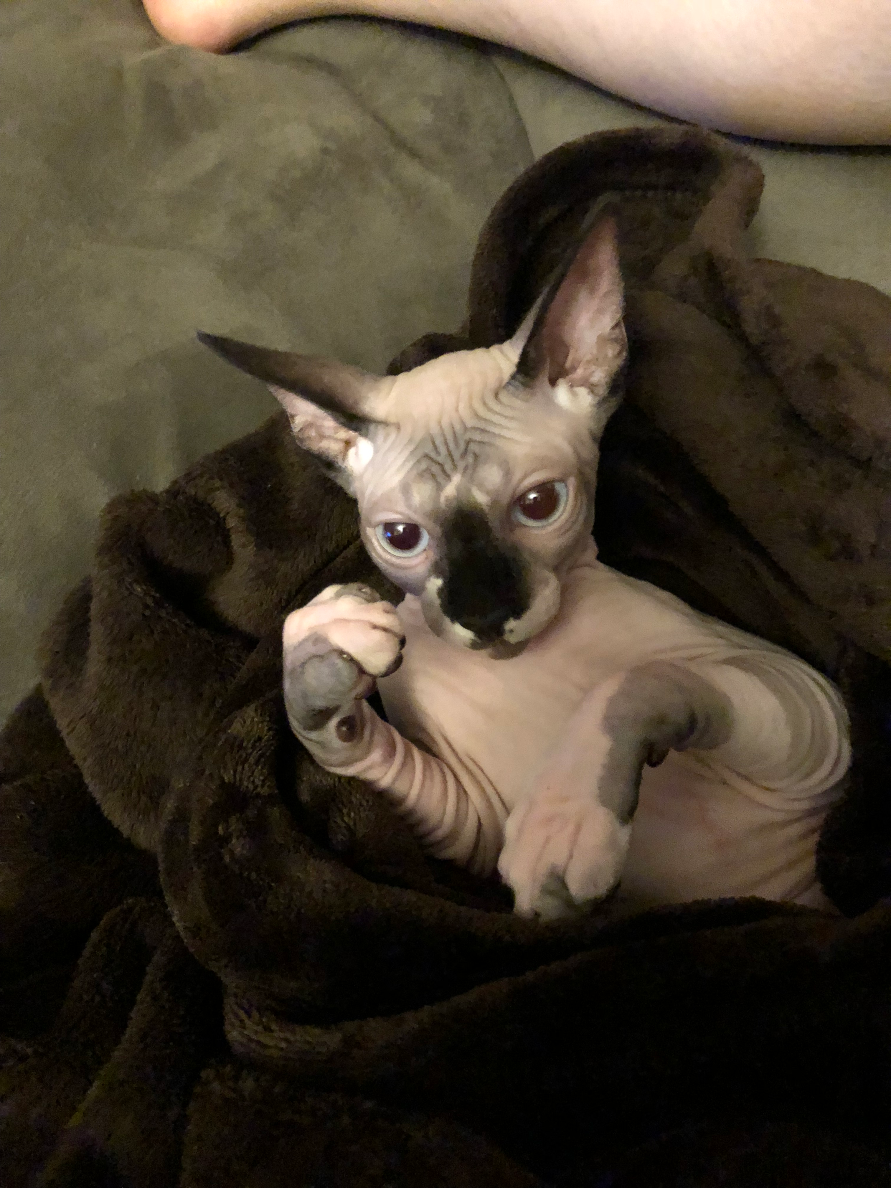 user avatar image for Ken