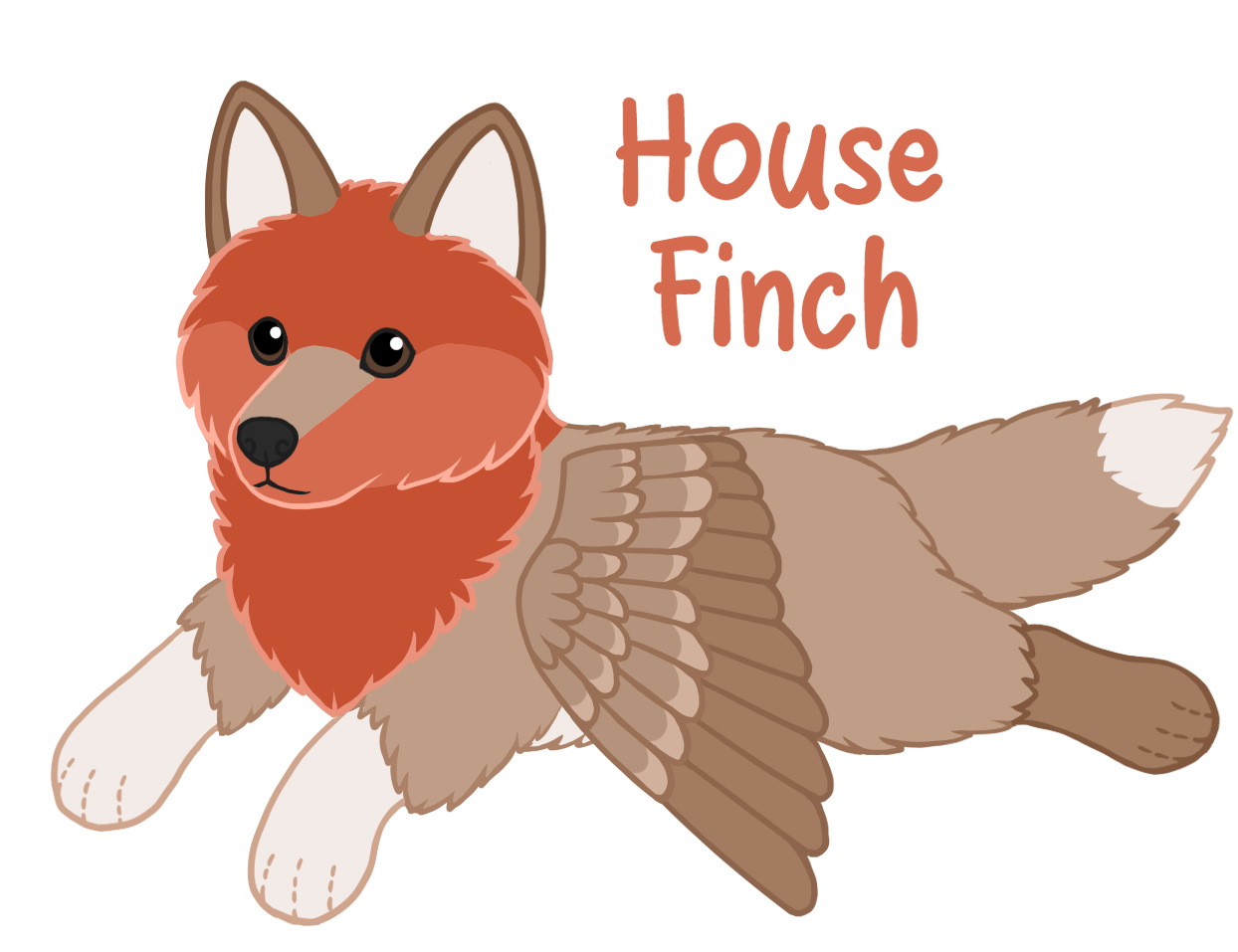House Finch (potentially mini size)