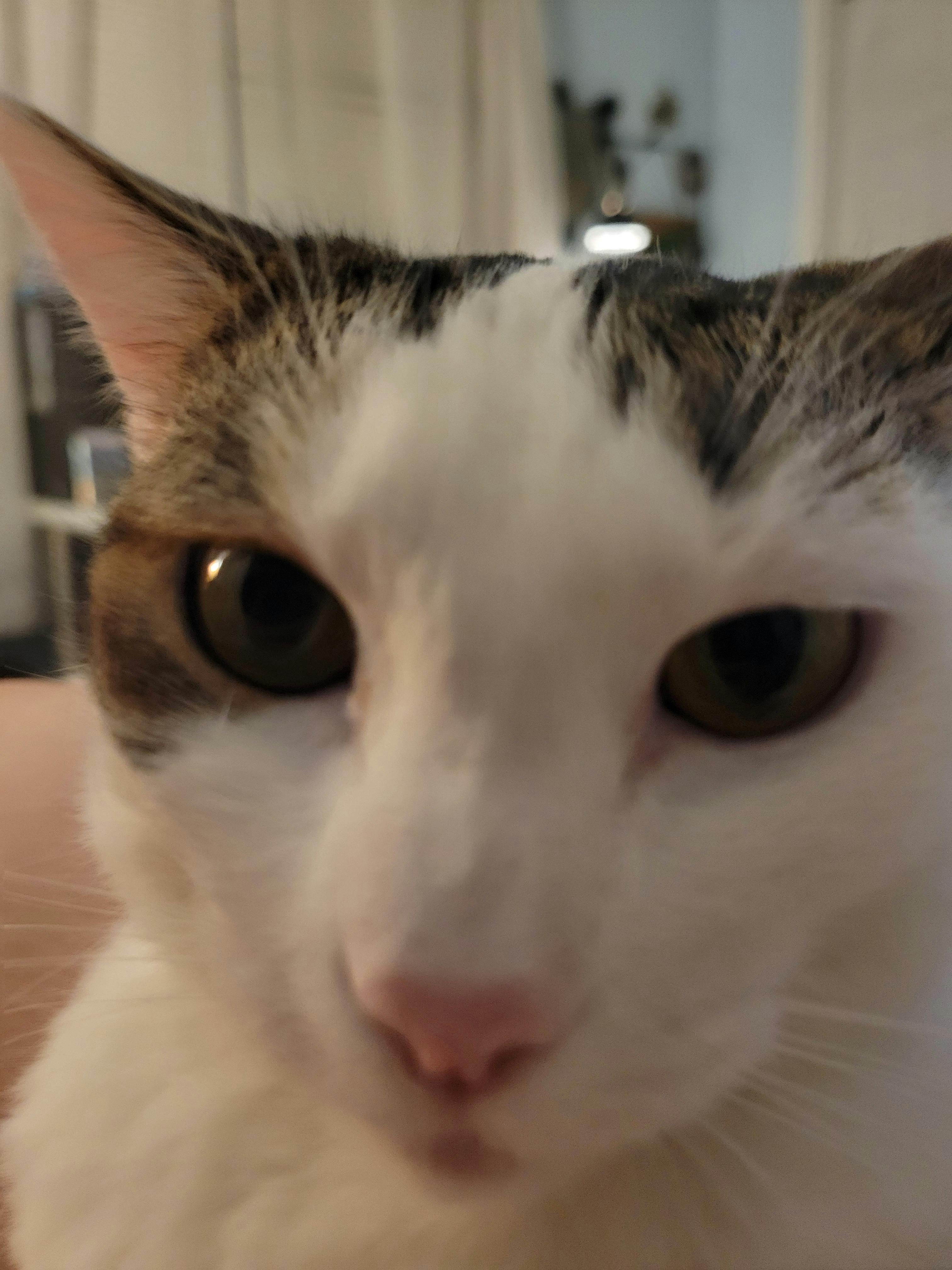 user avatar image for TheChaosBreaker