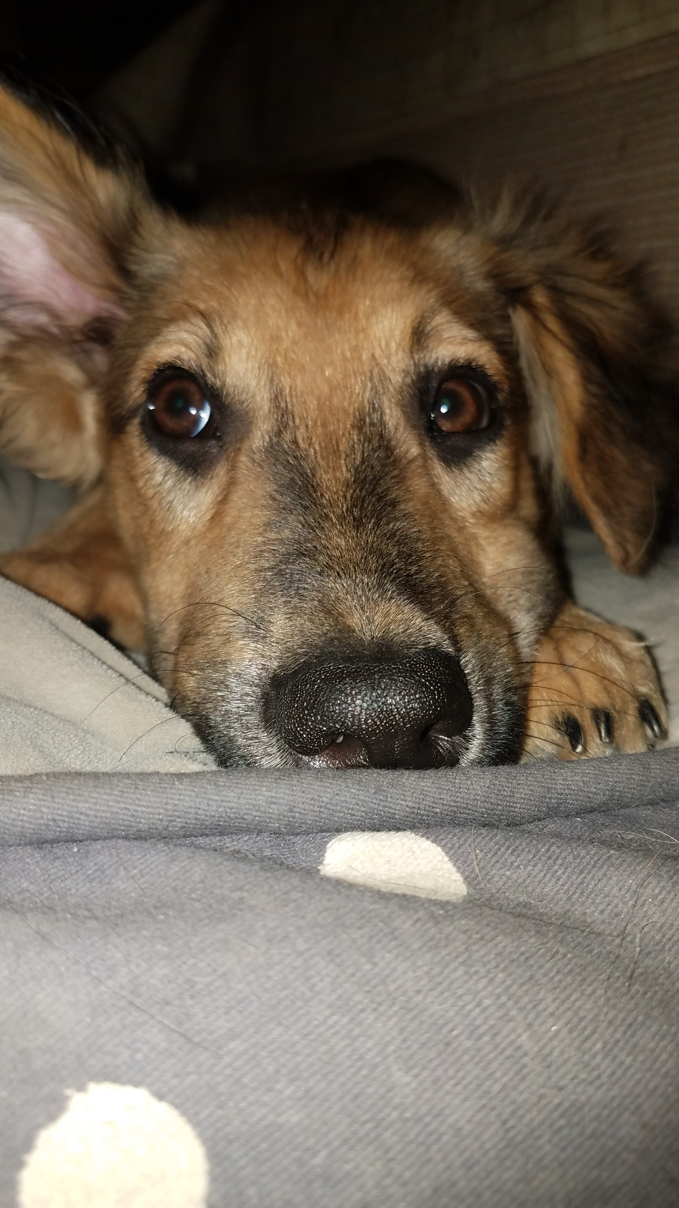 user avatar image for Tracy