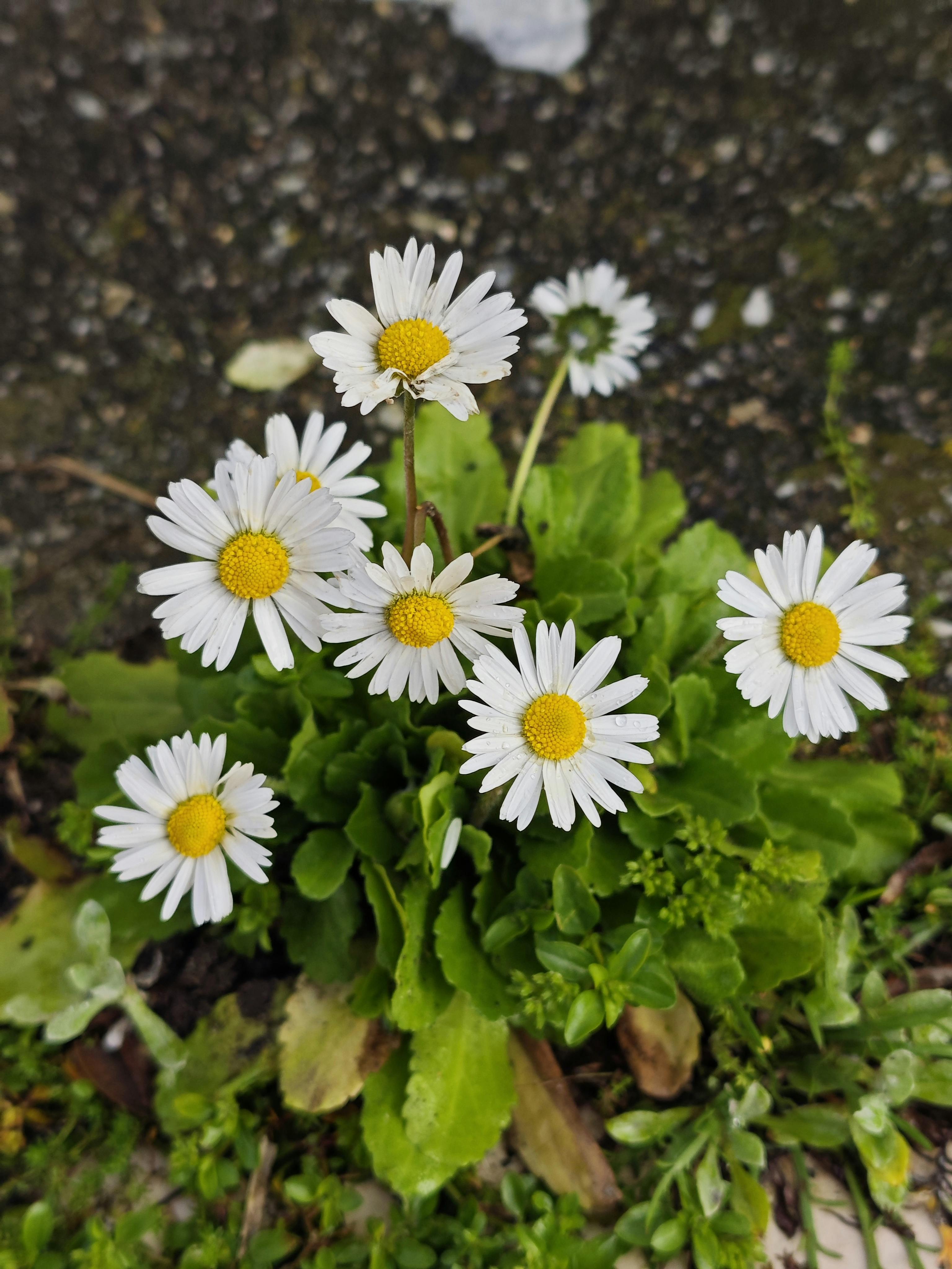 user avatar image for Vera Faria