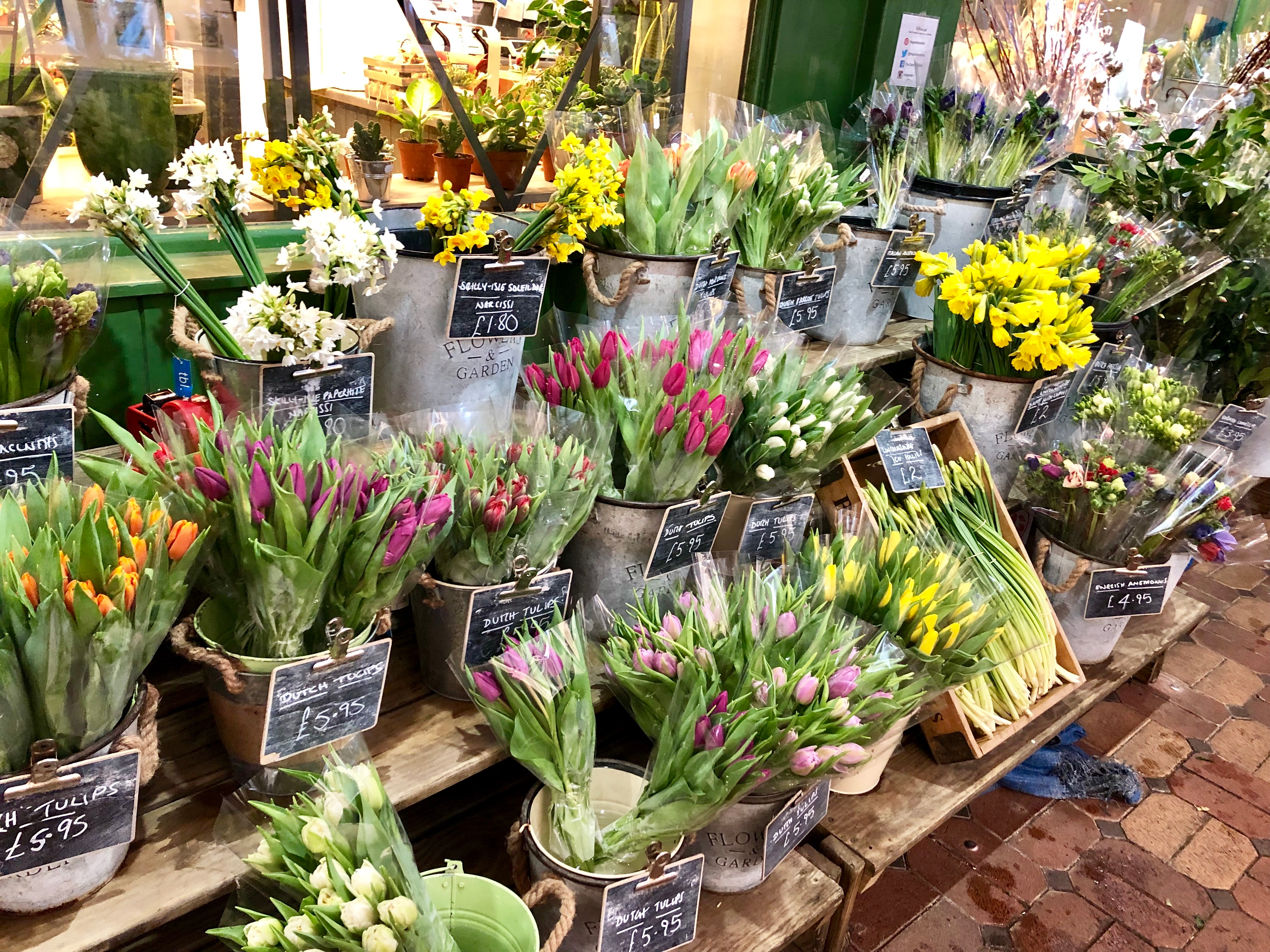 user avatar image for Jean