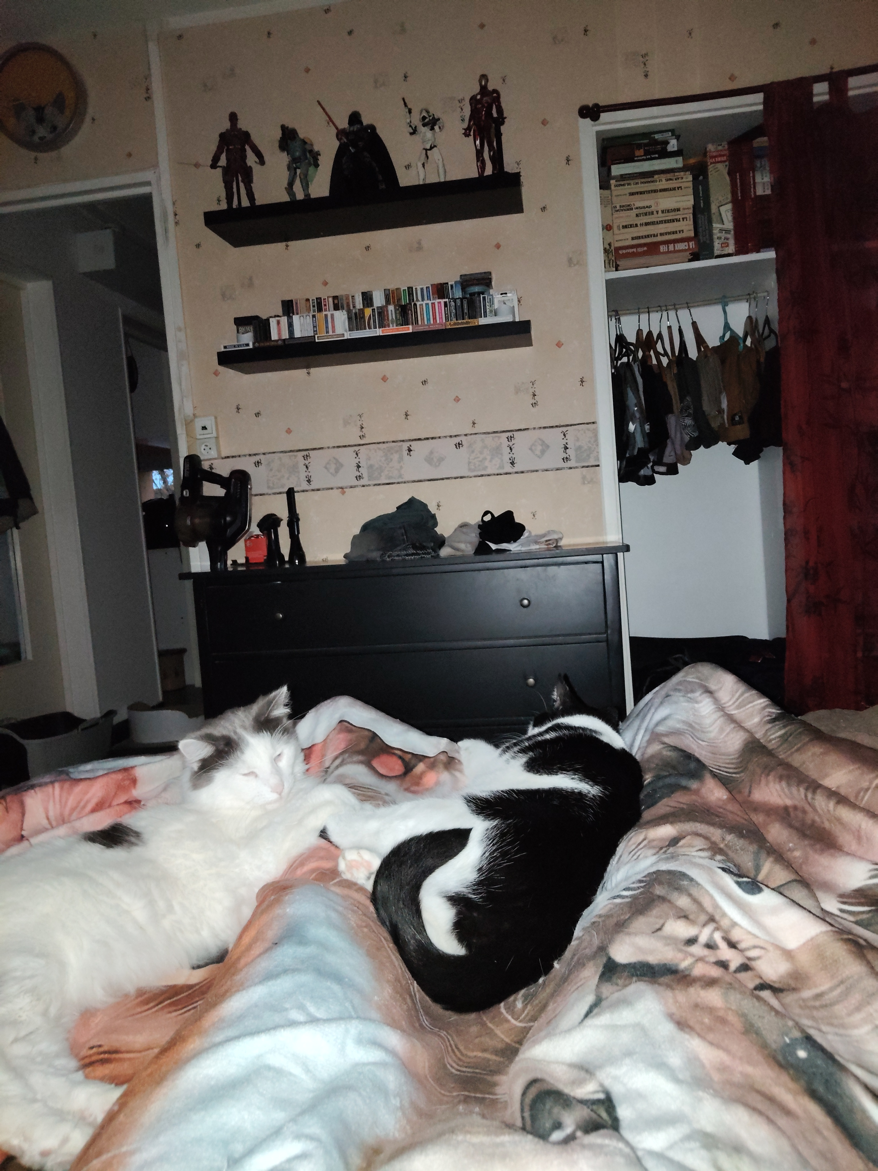 user avatar image for Sallot Michel 