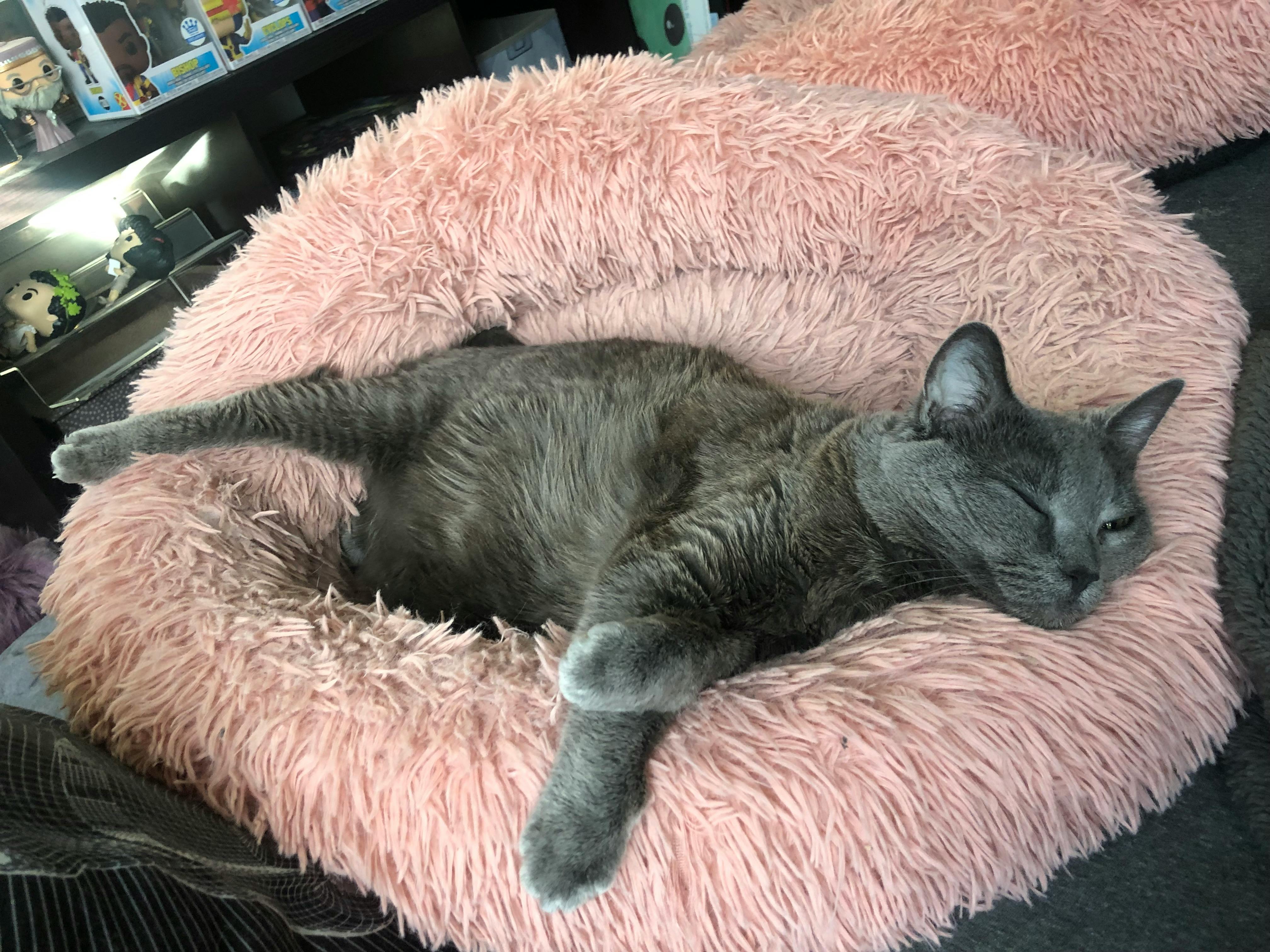 user avatar image for Atomic