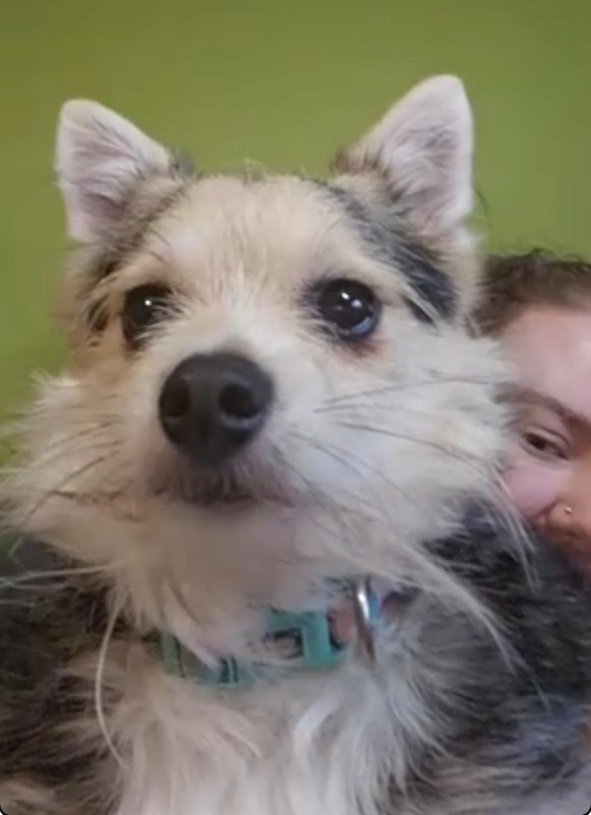 user avatar image for Lauren