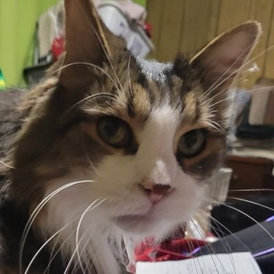 user avatar image for H Zwicker