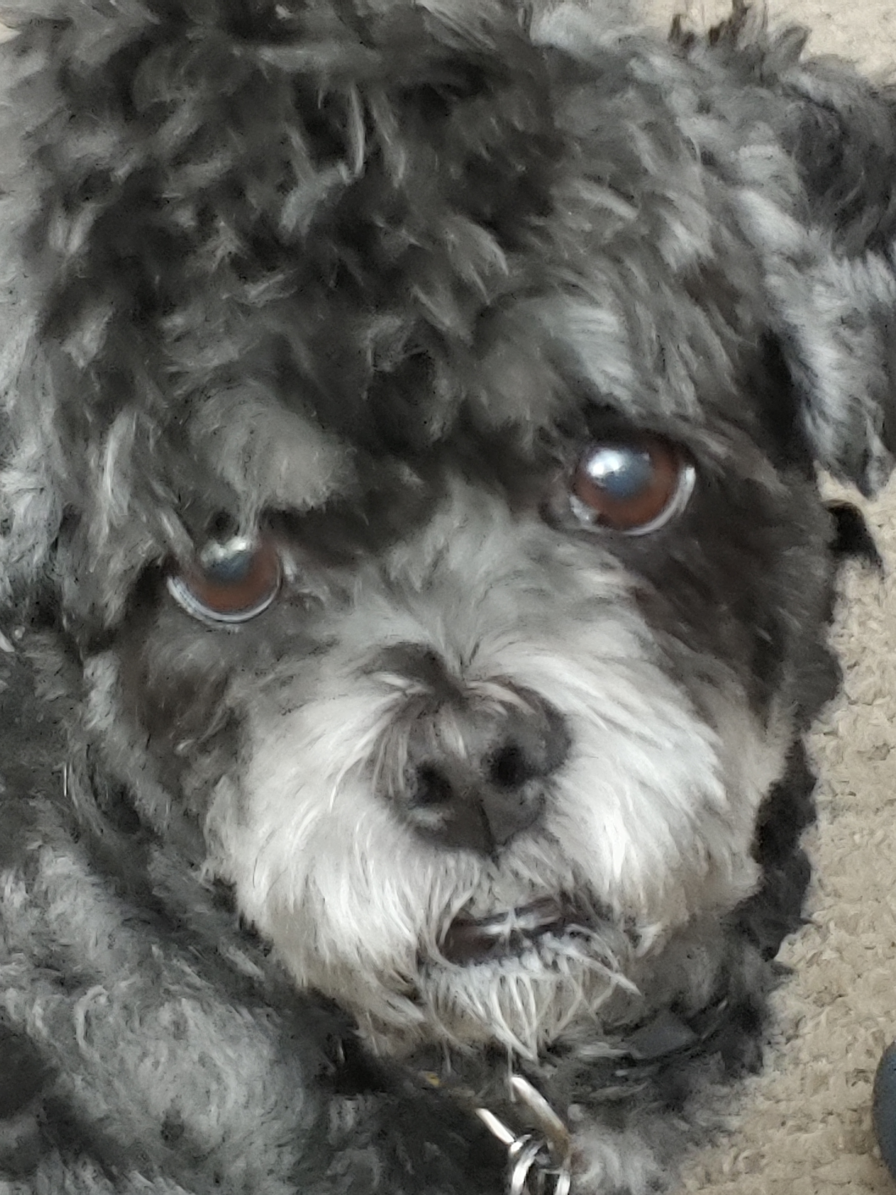 user avatar image for Reaperess