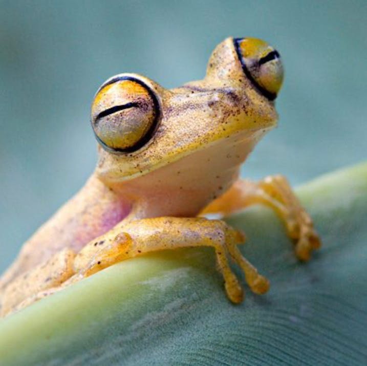 user avatar image for Kasenya Morris