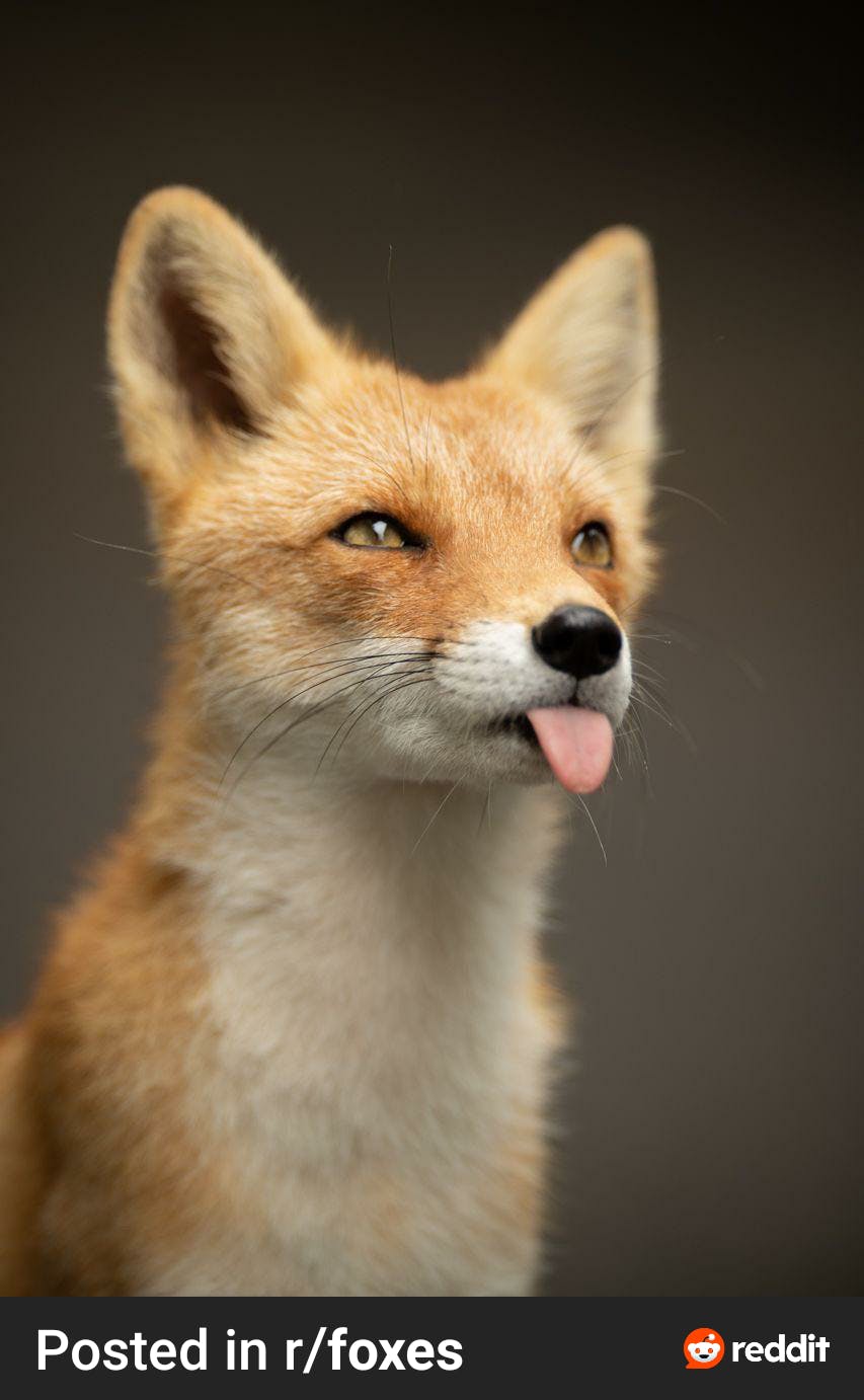 user avatar image for Aleks 