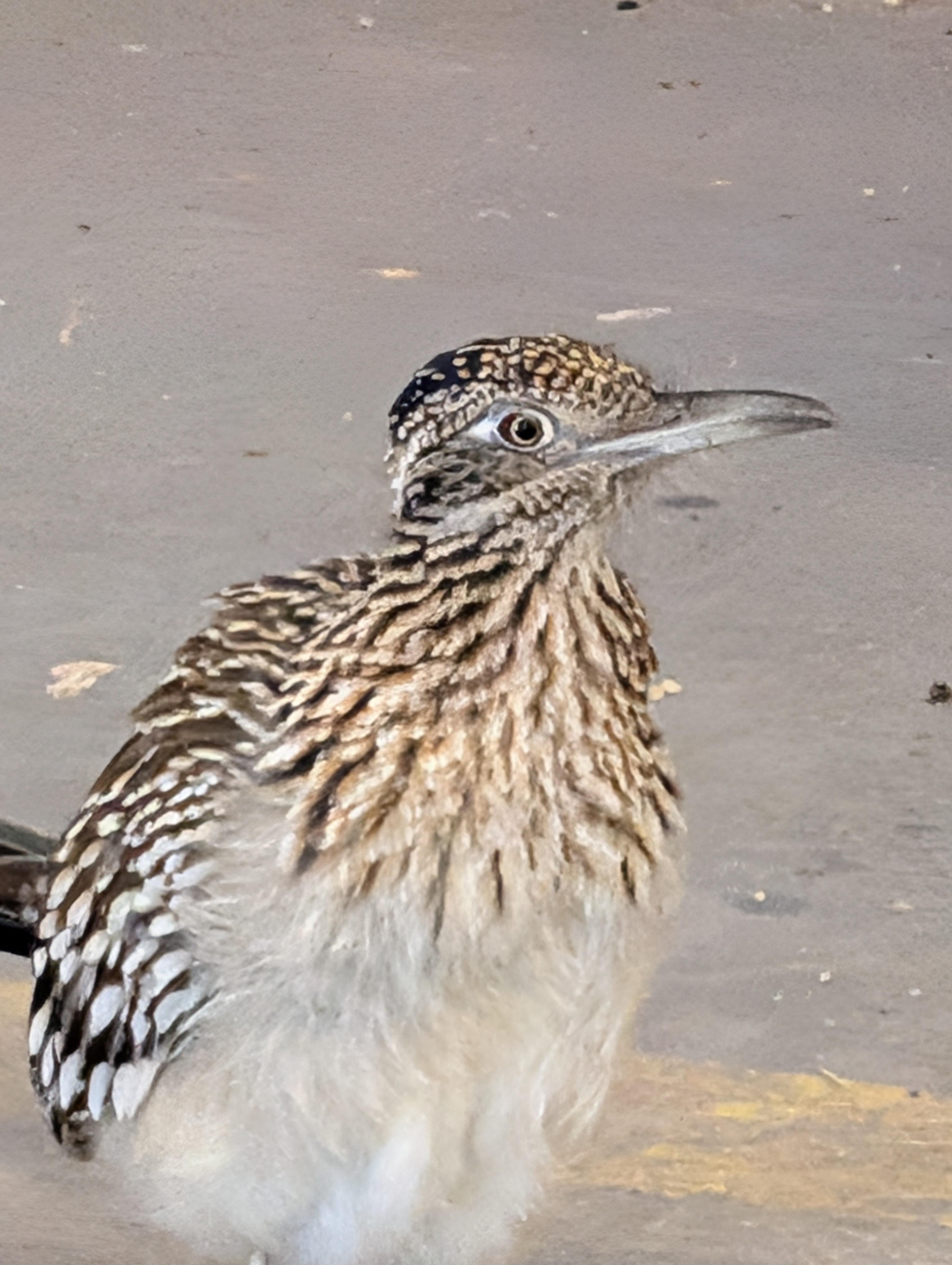 user avatar image for Joe