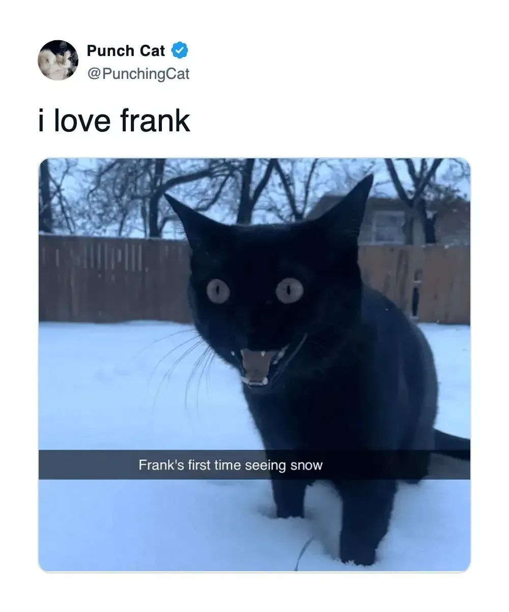 user avatar image for Chance H.