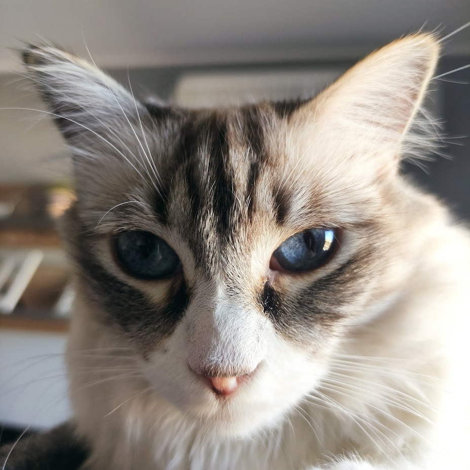 user avatar image for Daniel Martins Magalhães