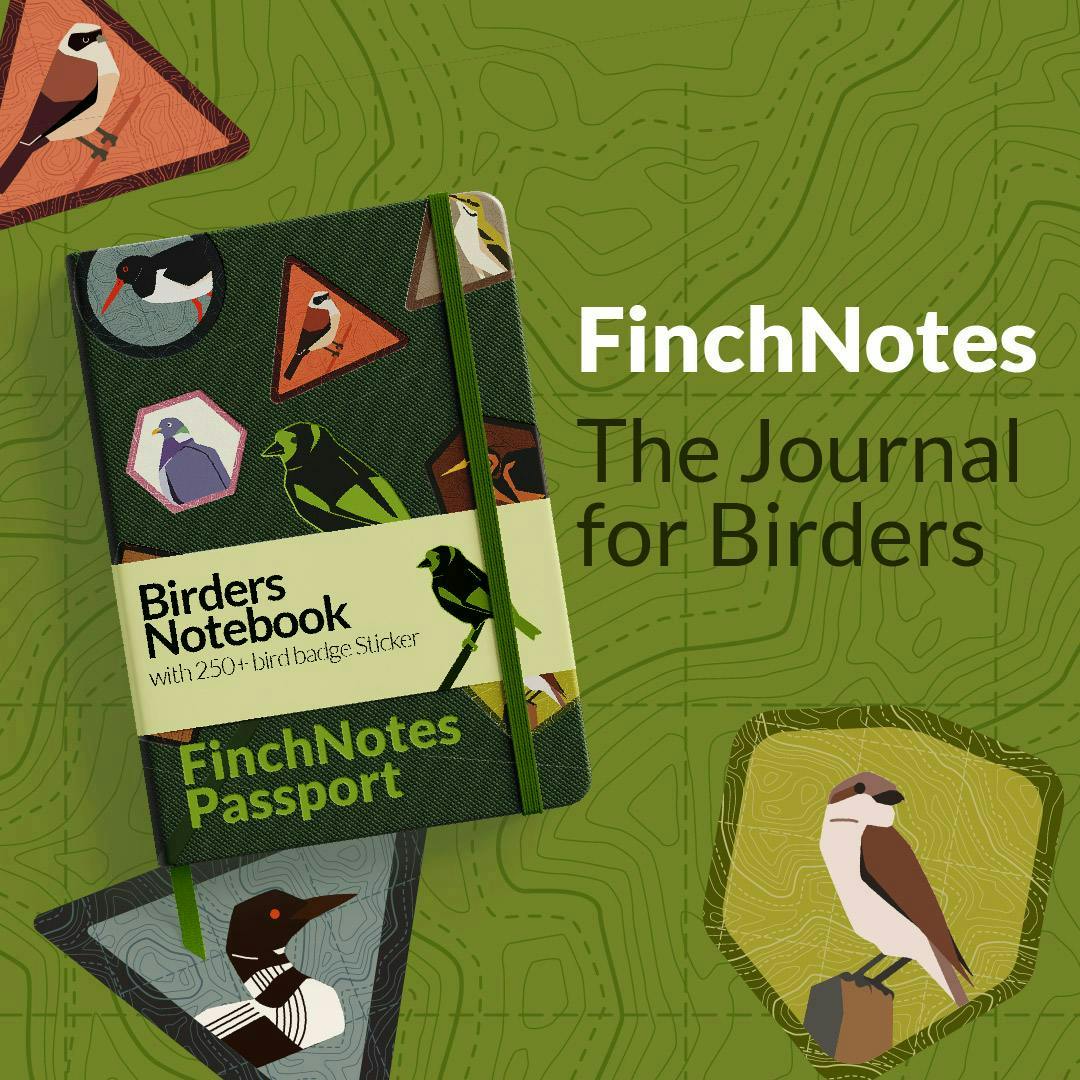 FinchNotes