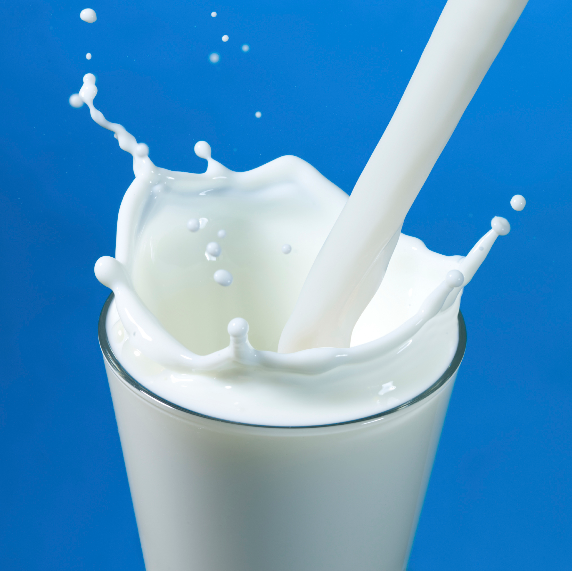 user avatar image for SaskMilk