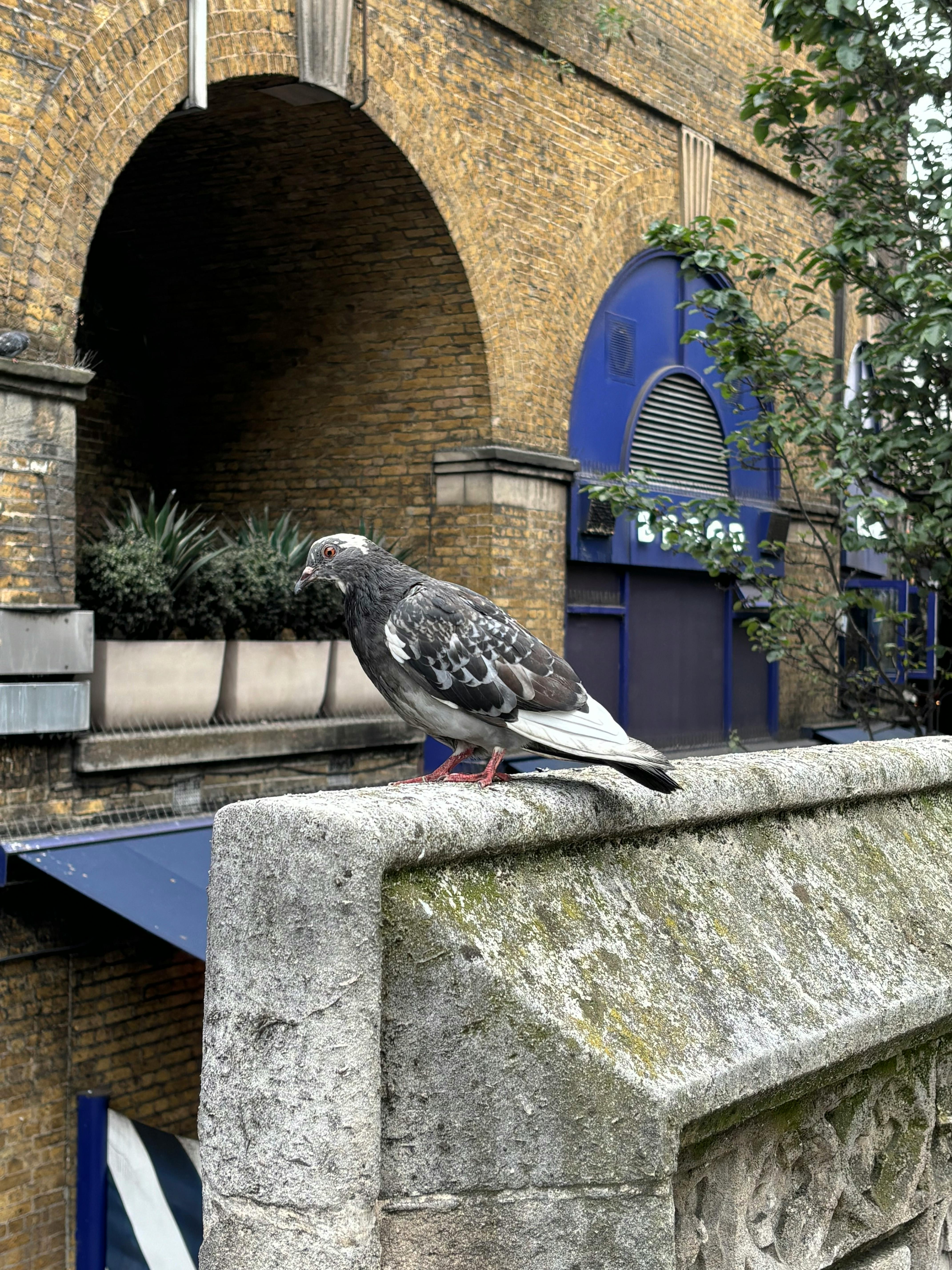 user avatar image for Renar