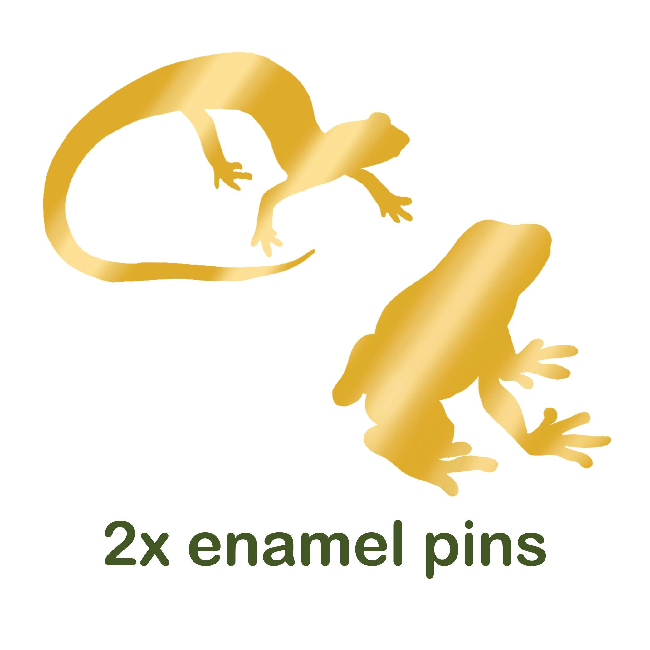 Two amphibian pins