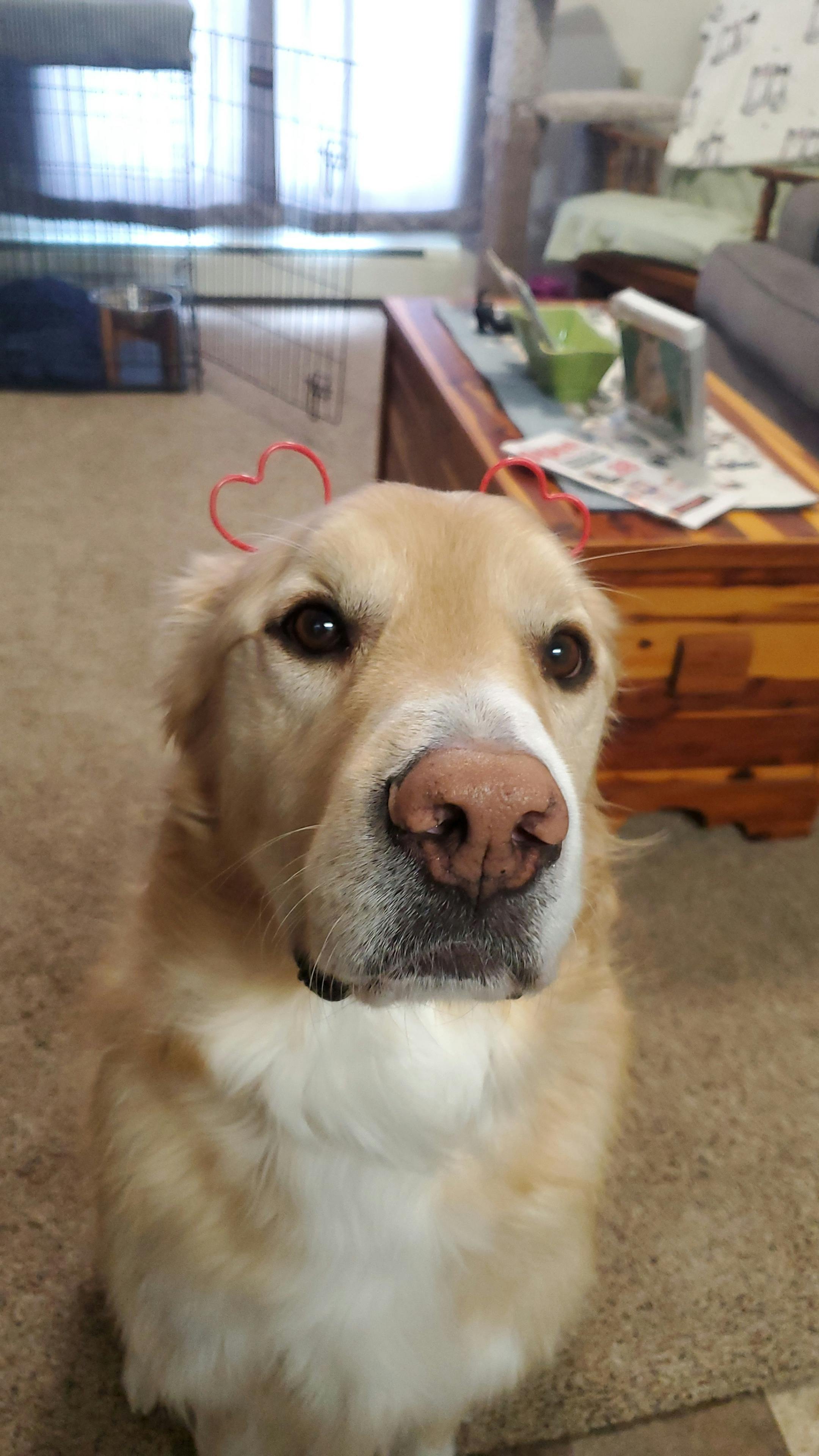 user avatar image for Lid