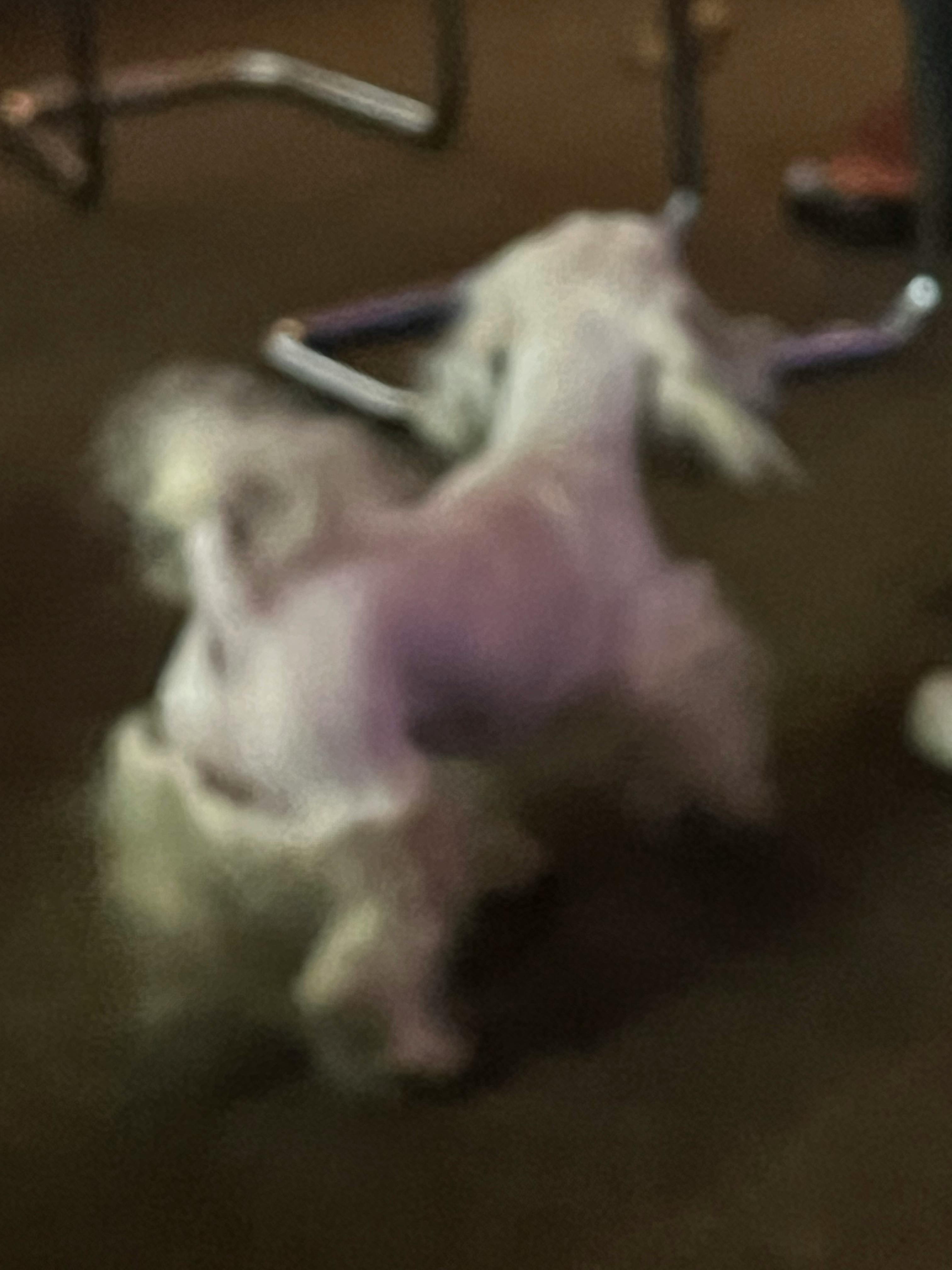 user avatar image for Vi Lin