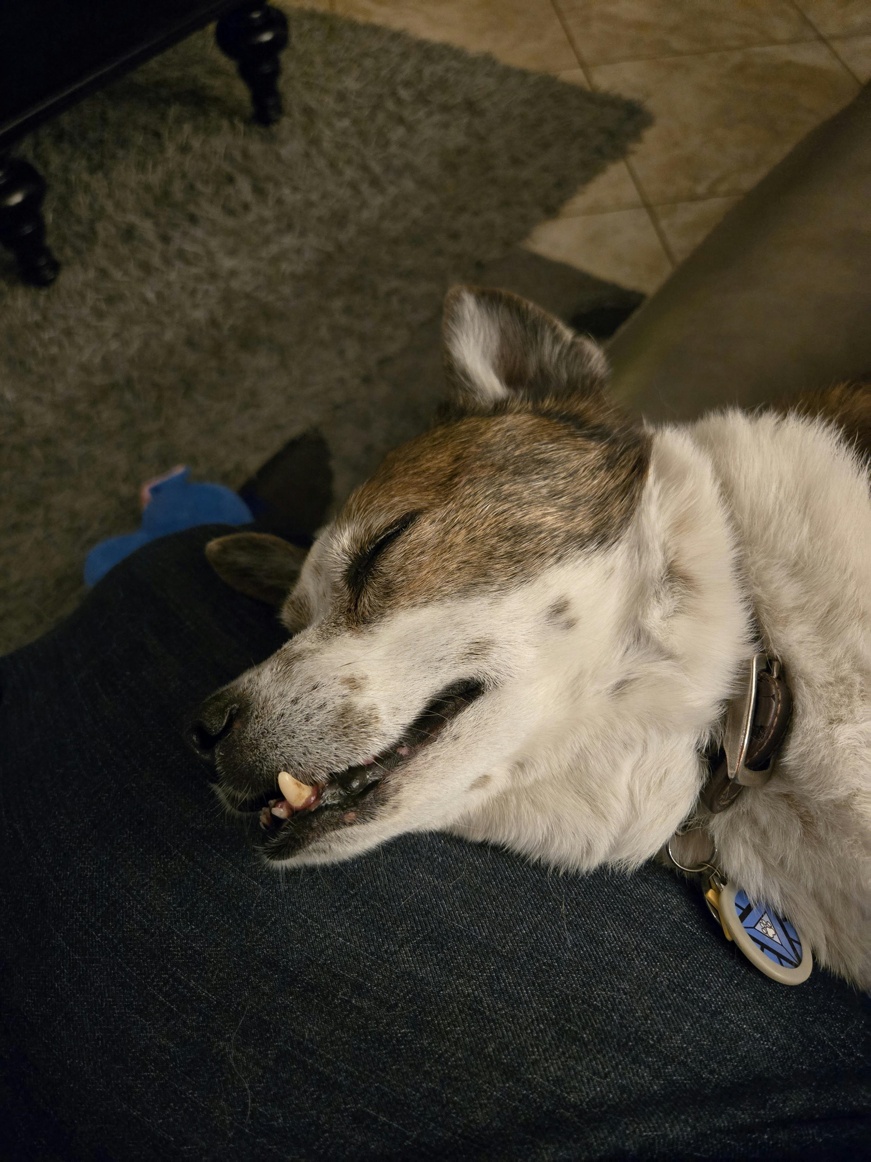 user avatar image for Mister Matched