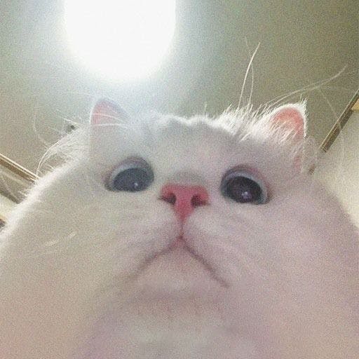 user avatar image for InsertEpicName