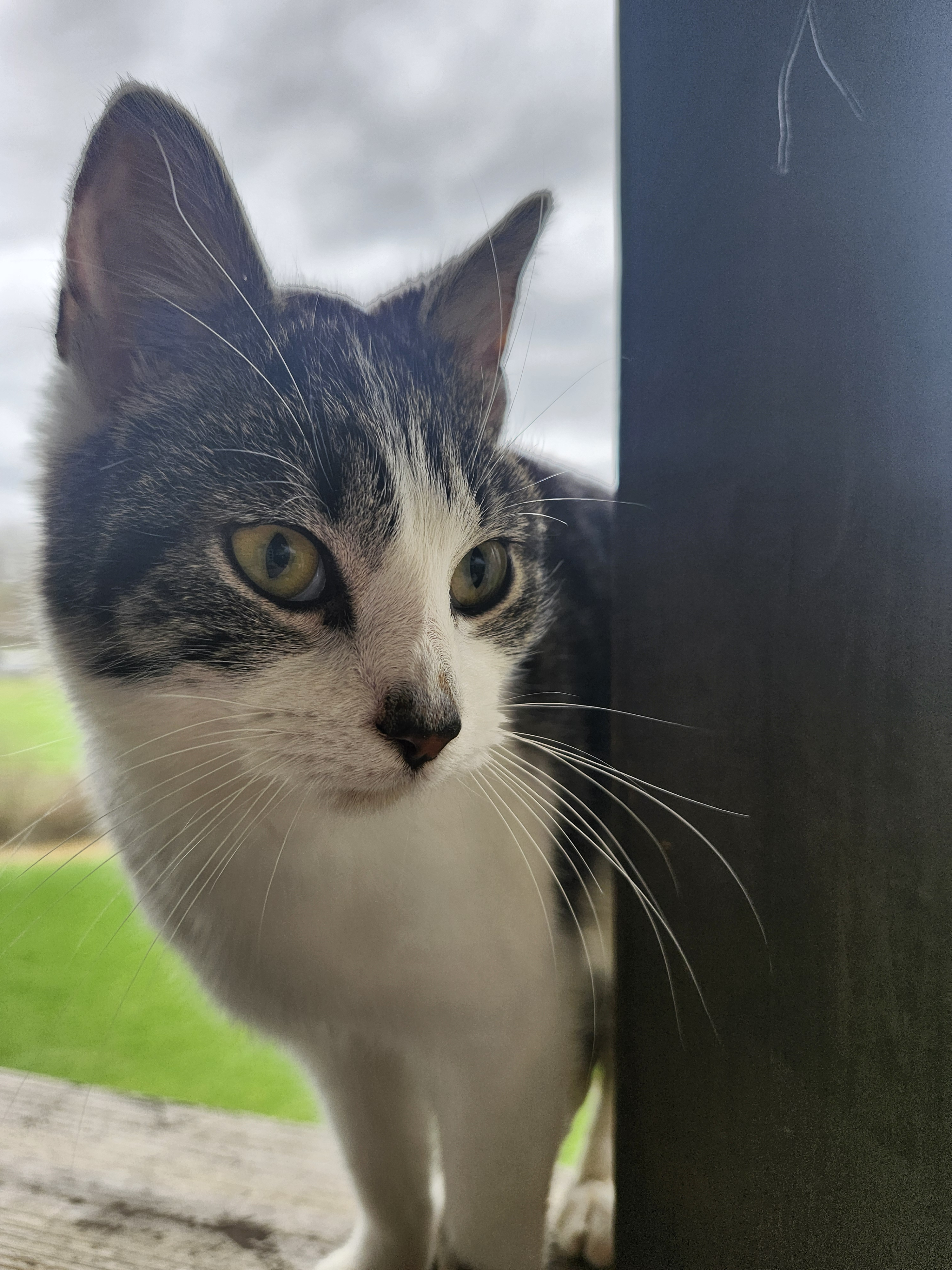 user avatar image for Kylie Bonfine