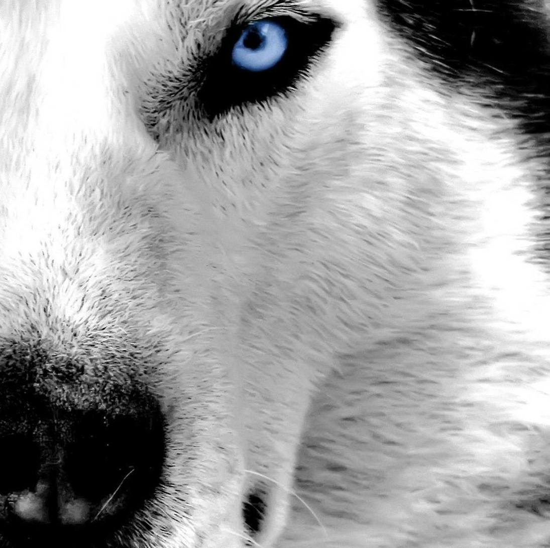 user avatar image for Aleksandar Bushev