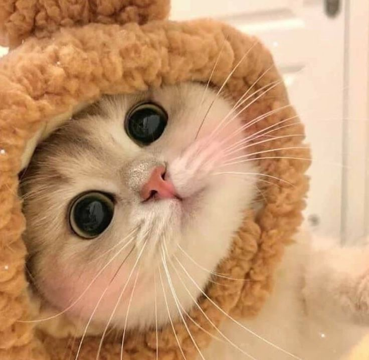 user avatar image for Gwenaelle