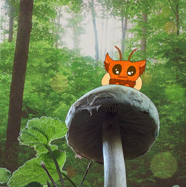 Sprankle the Moth Cat Digital Print