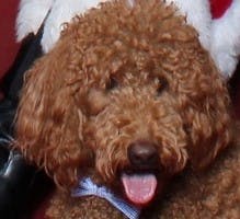 user avatar image for Cowboy Ronin