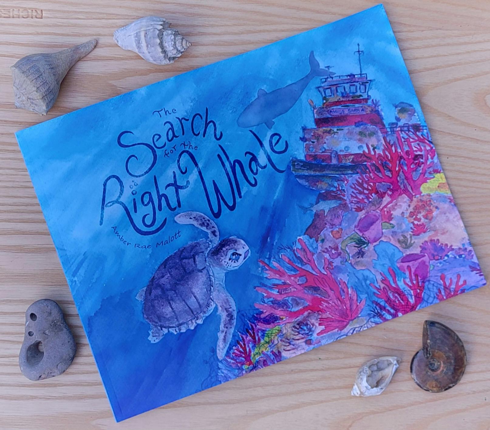 The Search for the Right Whale Paperback book