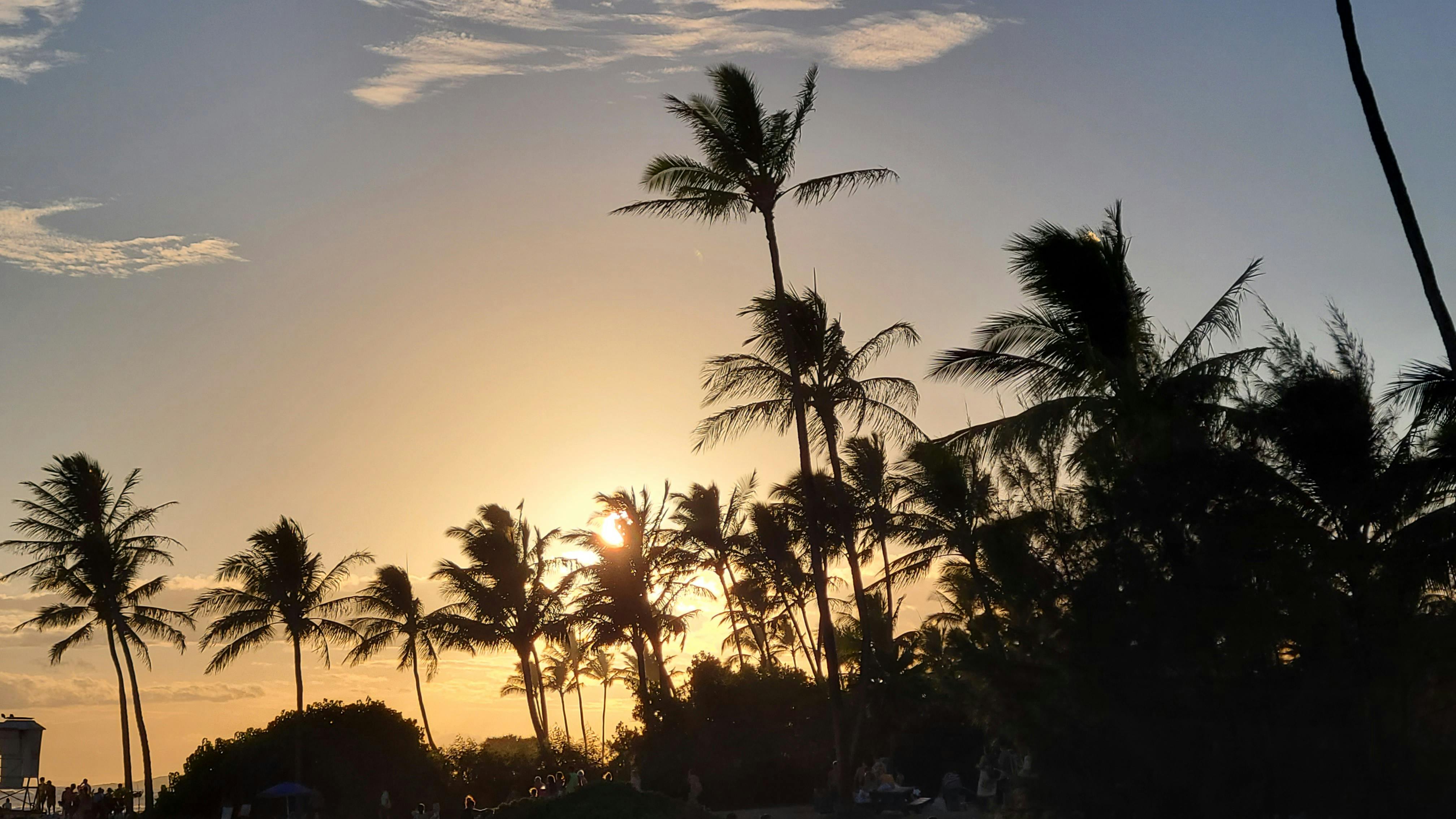 user avatar image for Mnemosyne24