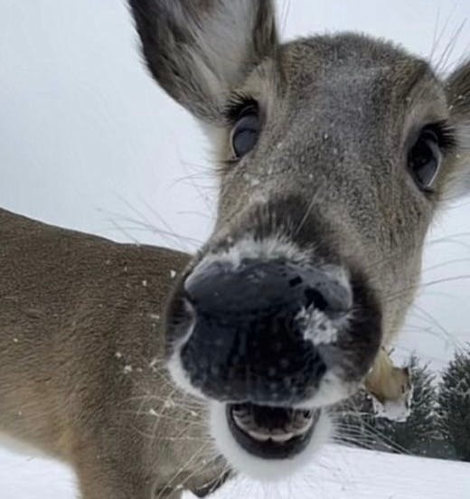 user avatar image for Kai