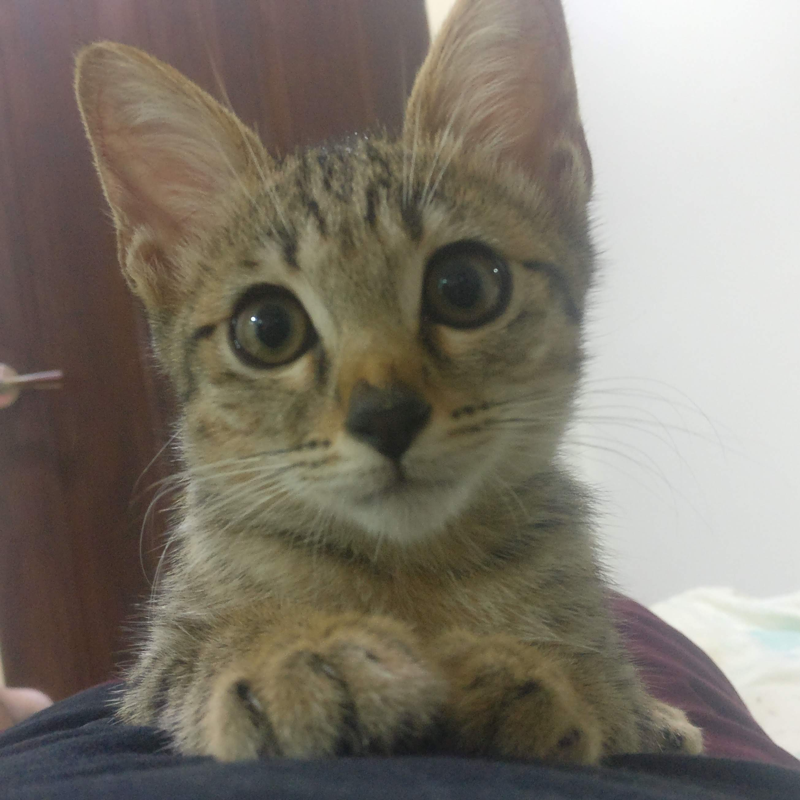 user avatar image for SKGgamez