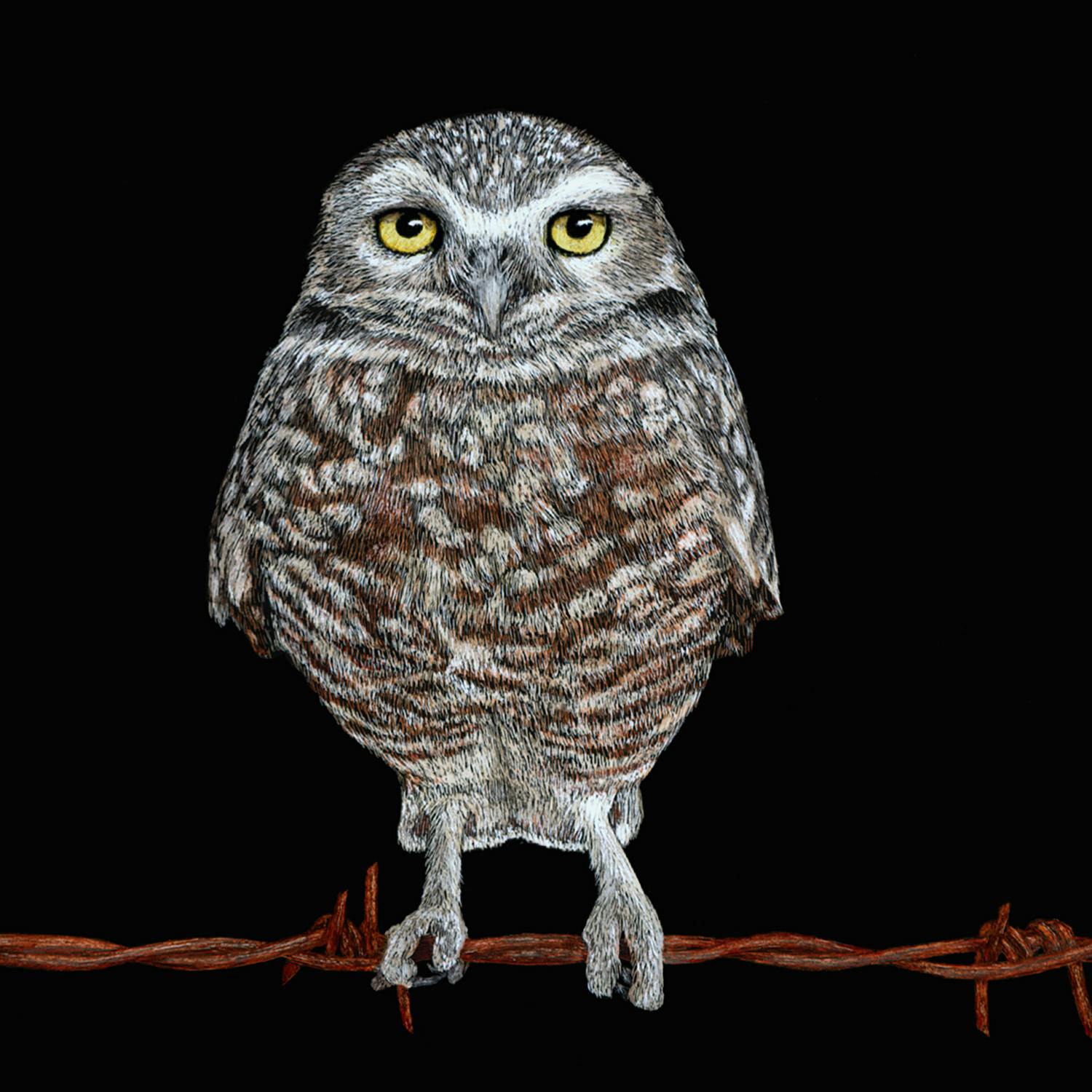 user avatar image for Ann Ranlett, MSA