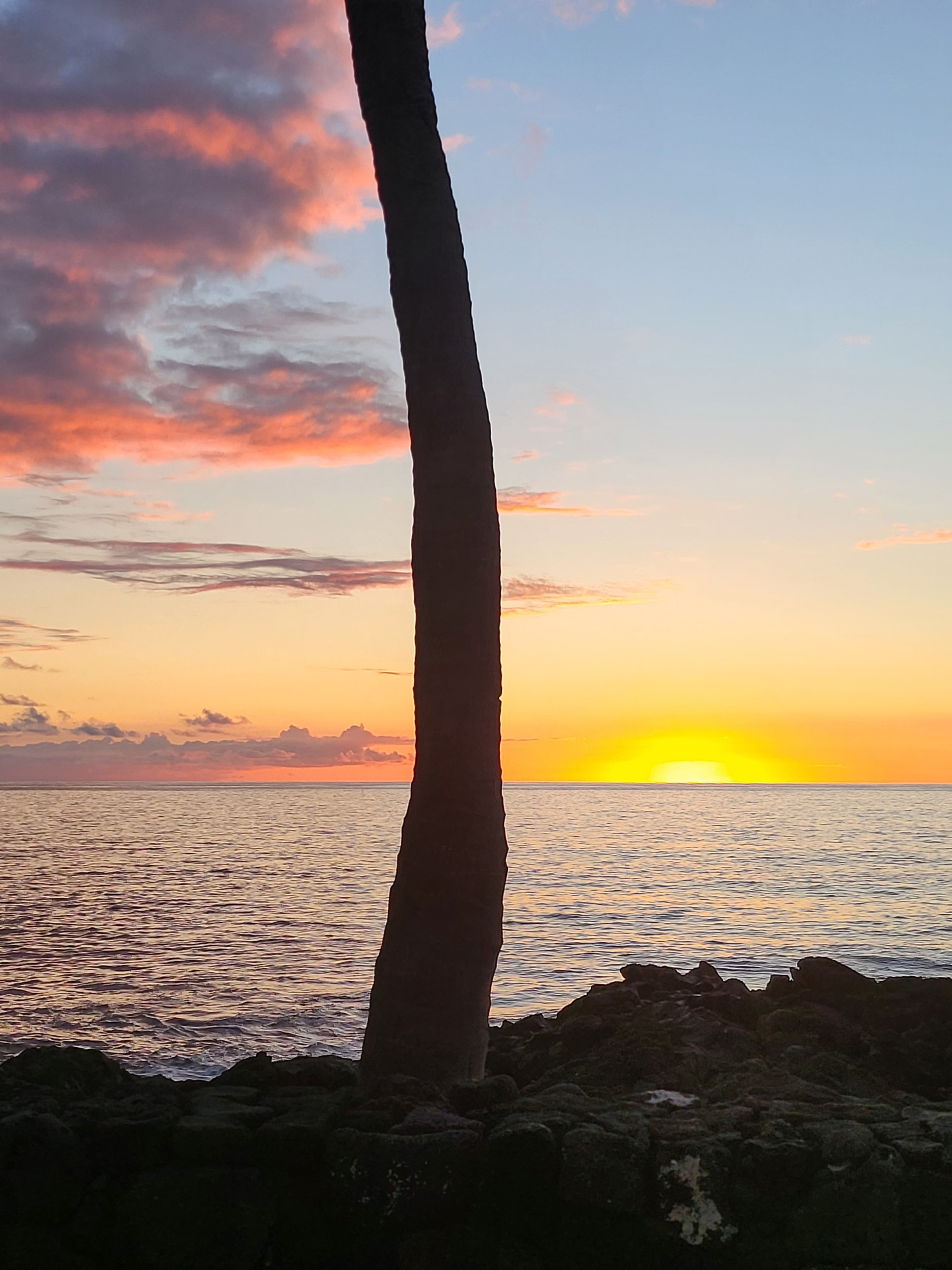 user avatar image for Michelle Brenneke