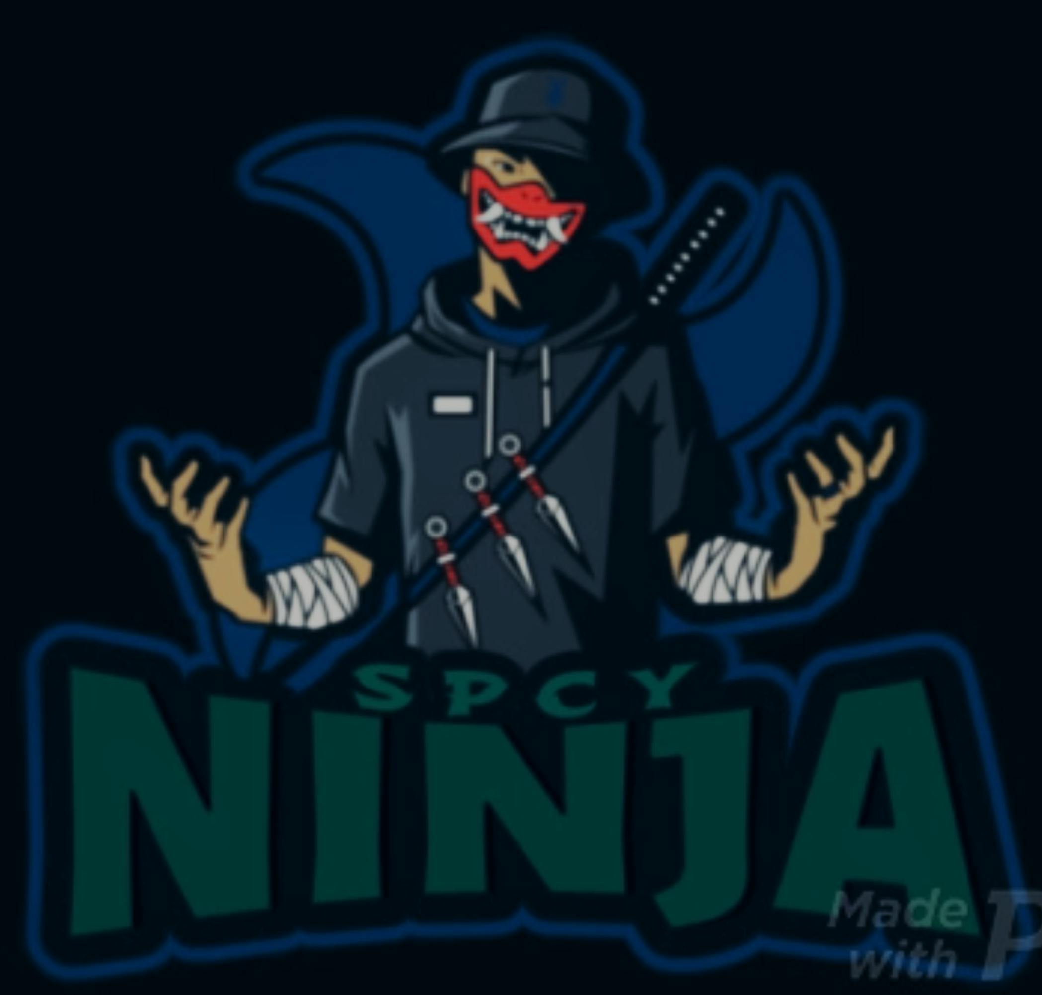 user avatar image for SpcyNinja