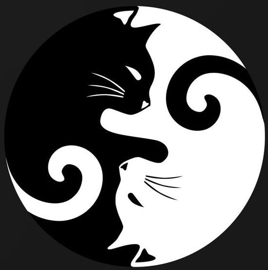 user avatar image for Brittany