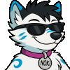 user avatar image for Noki the Fox