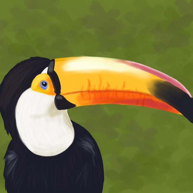 user avatar image for Safarte