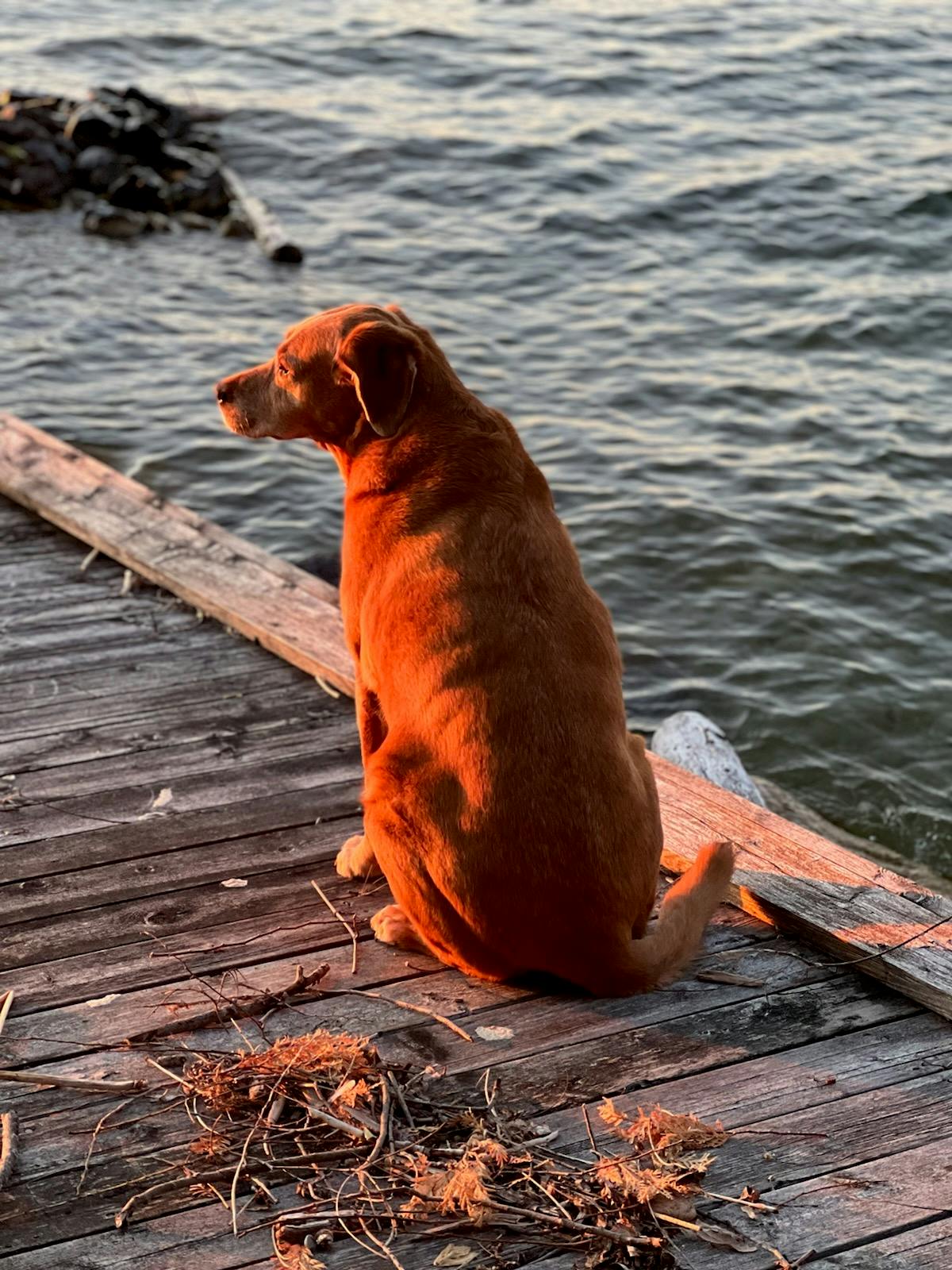 user avatar image for BigAl