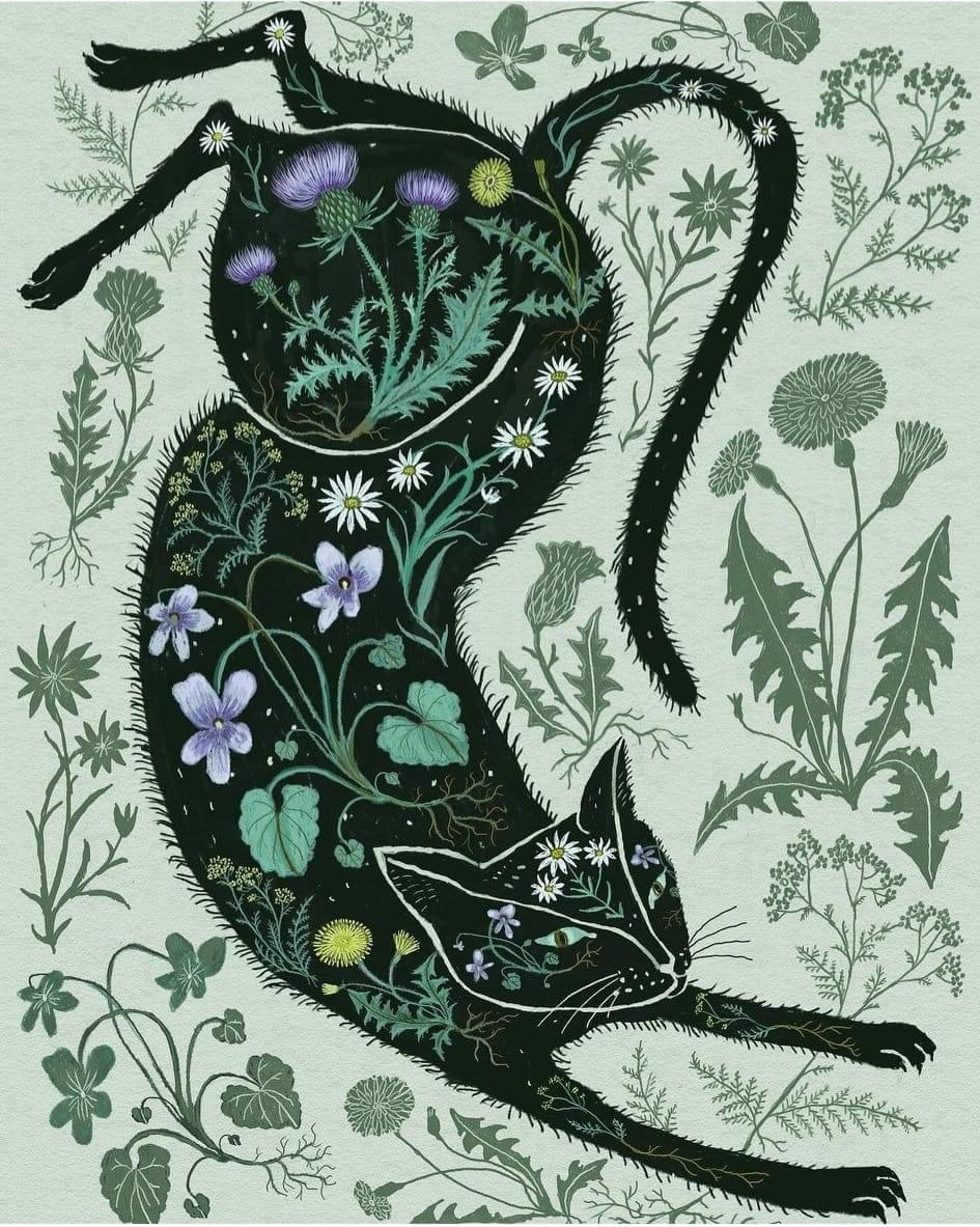 user avatar image for K