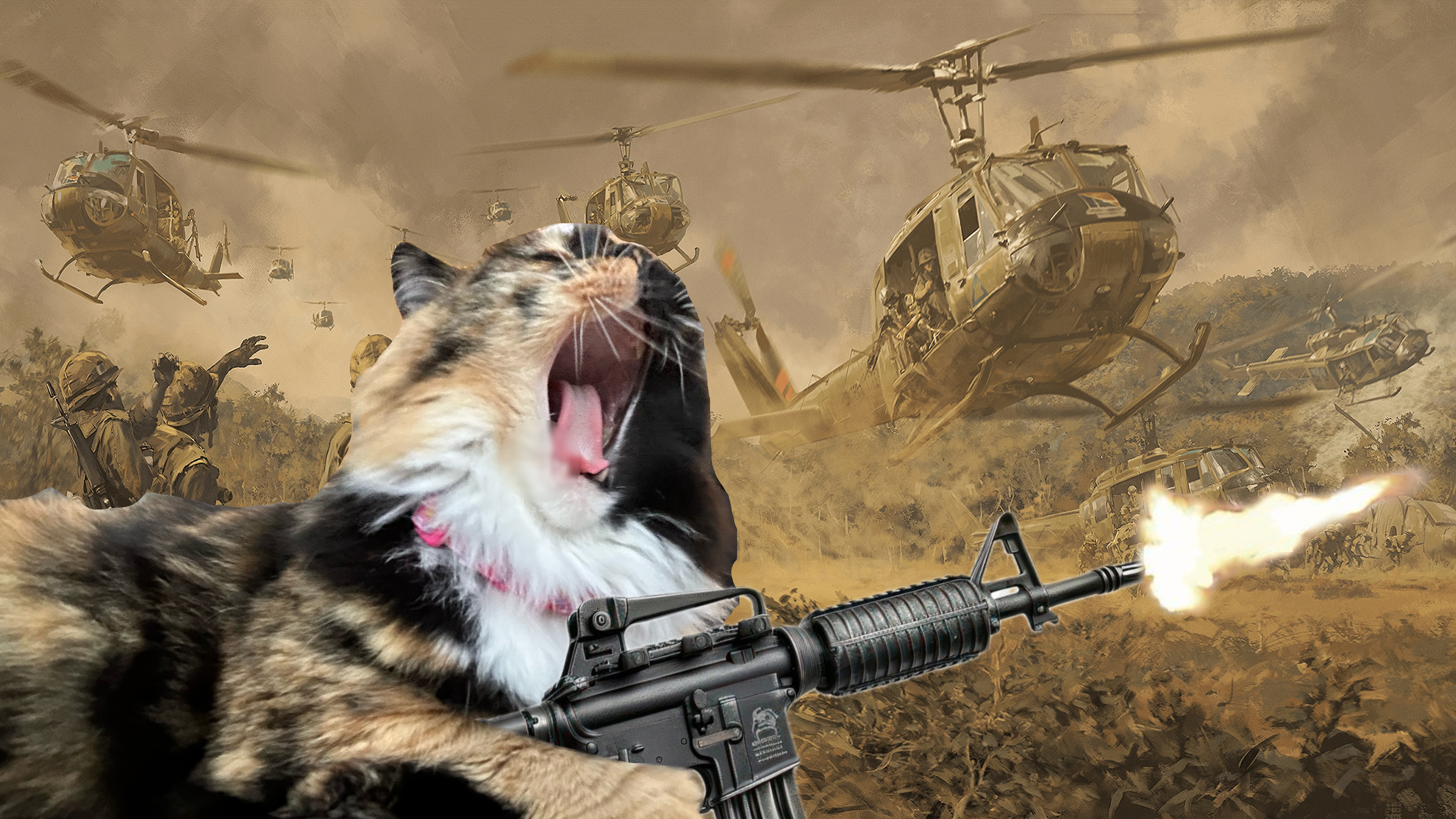 user avatar image for Daniel Smith