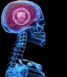 user avatar image for OriginalCaruso