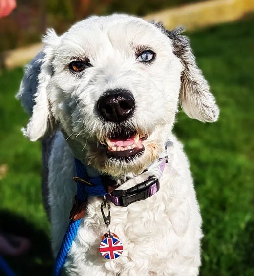 user avatar image for Nick Mulherin