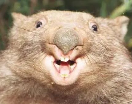 user avatar image for NothingToSeeHere