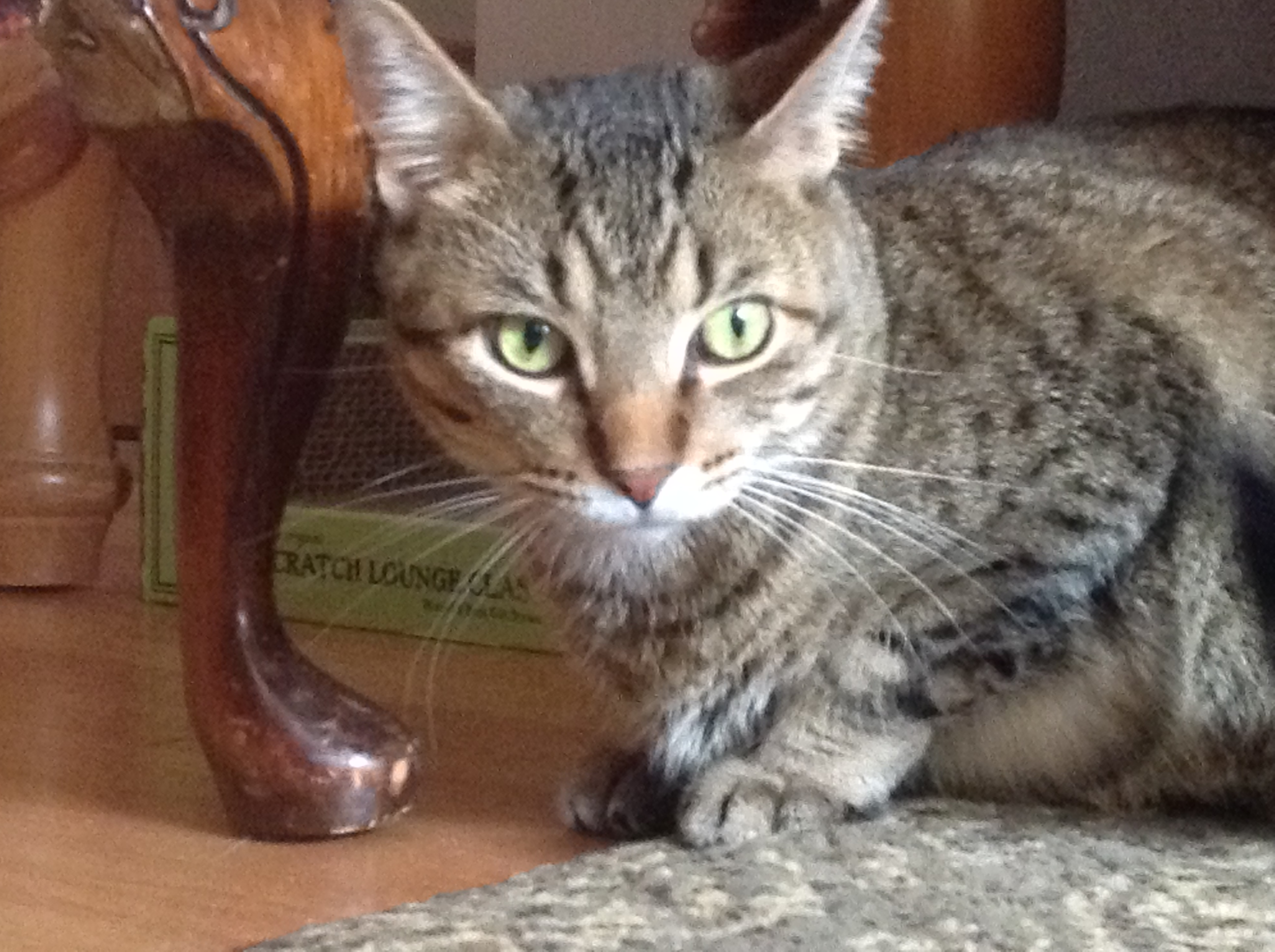 user avatar image for Chris