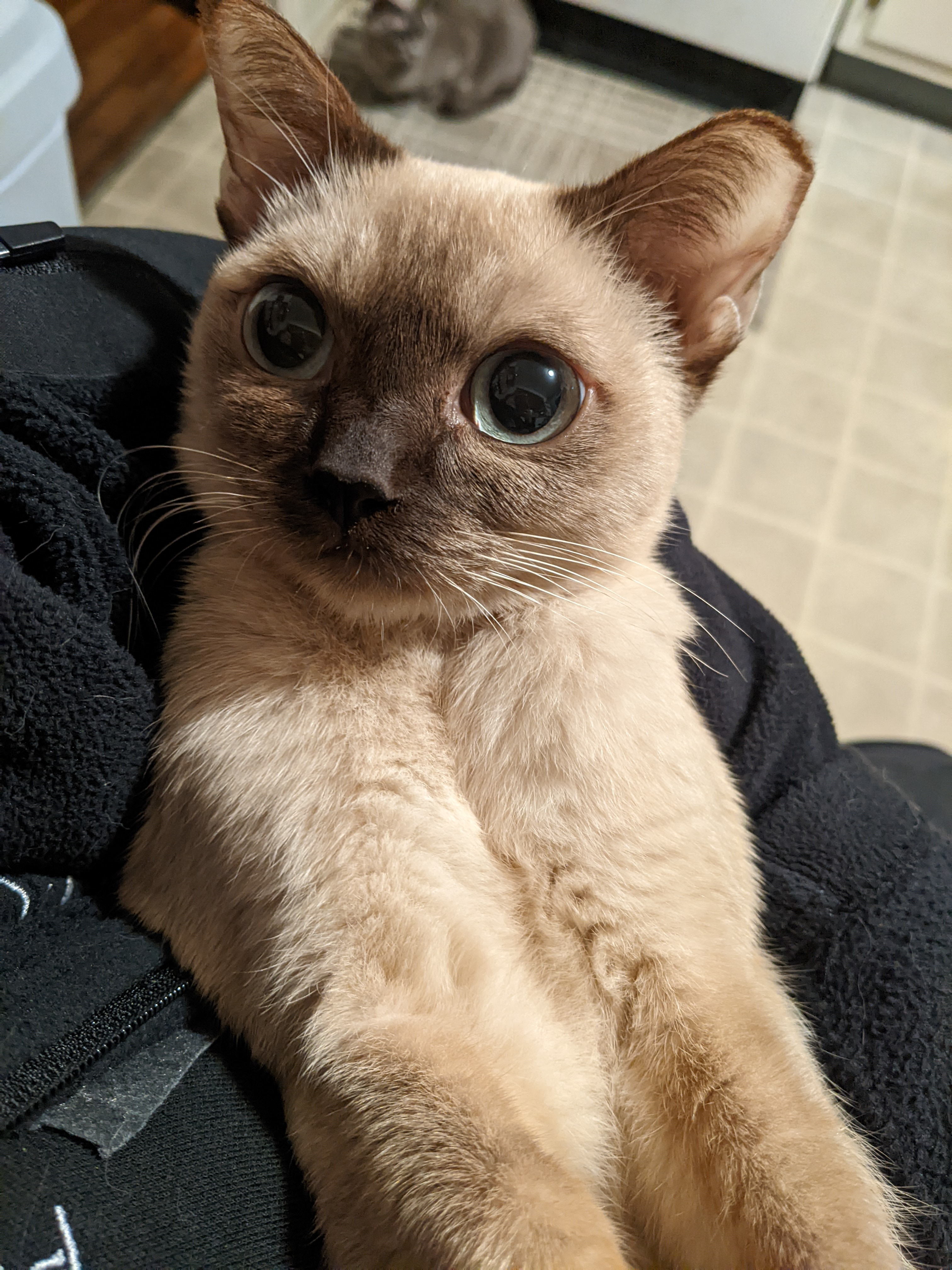 user avatar image for Robin Bee NH